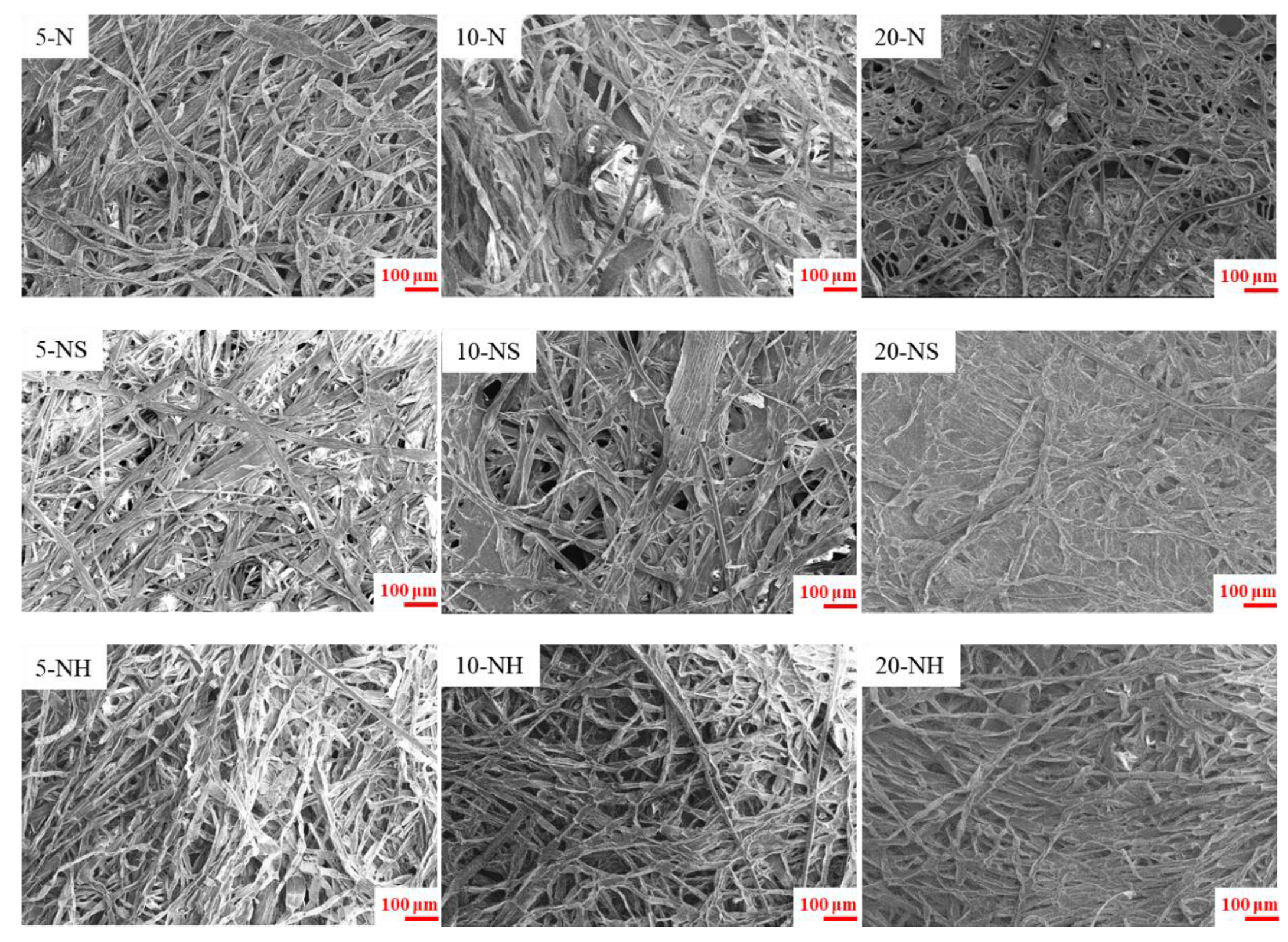 Polymers 14 04162 g004