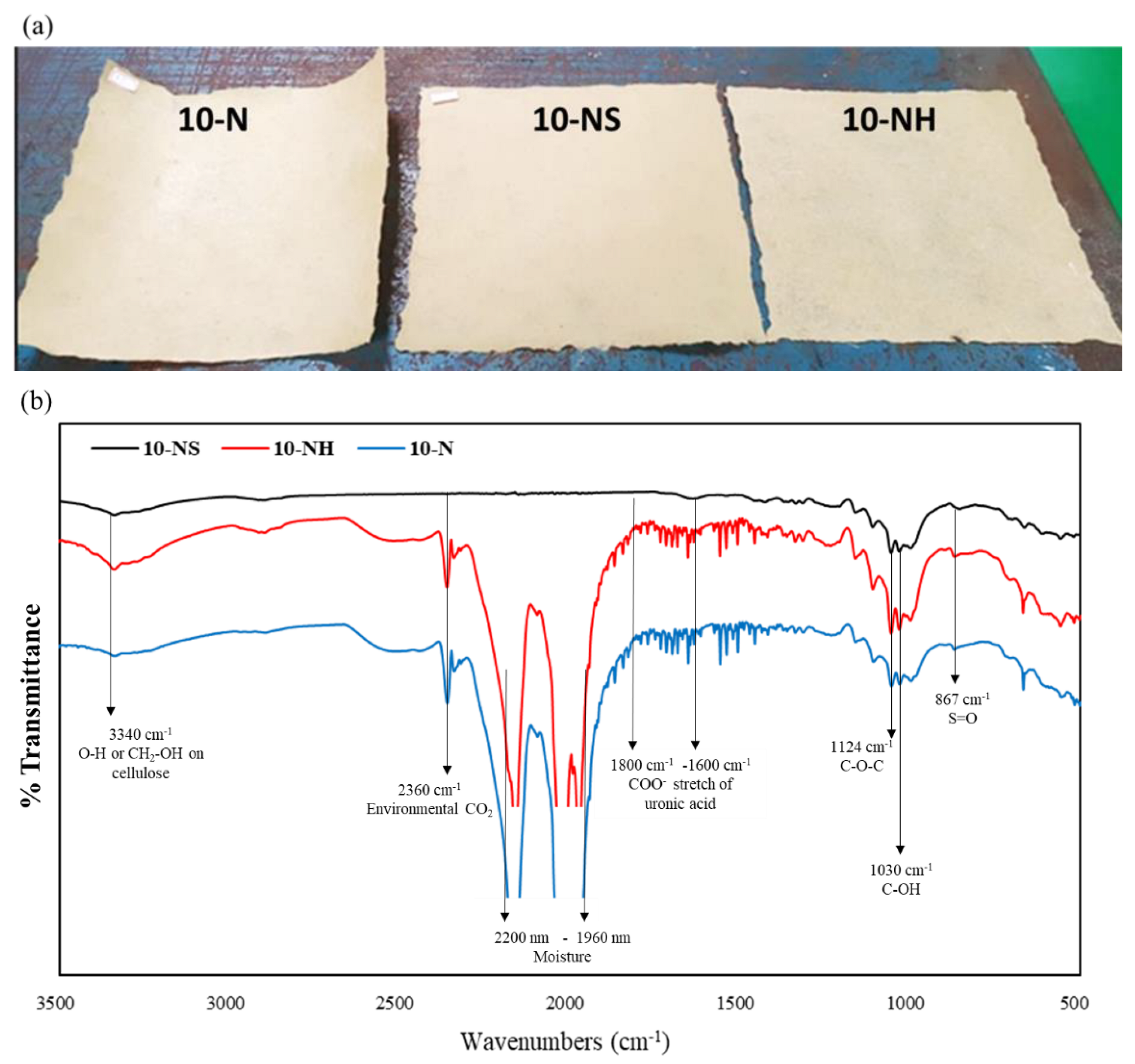 Polymers 14 04162 g007