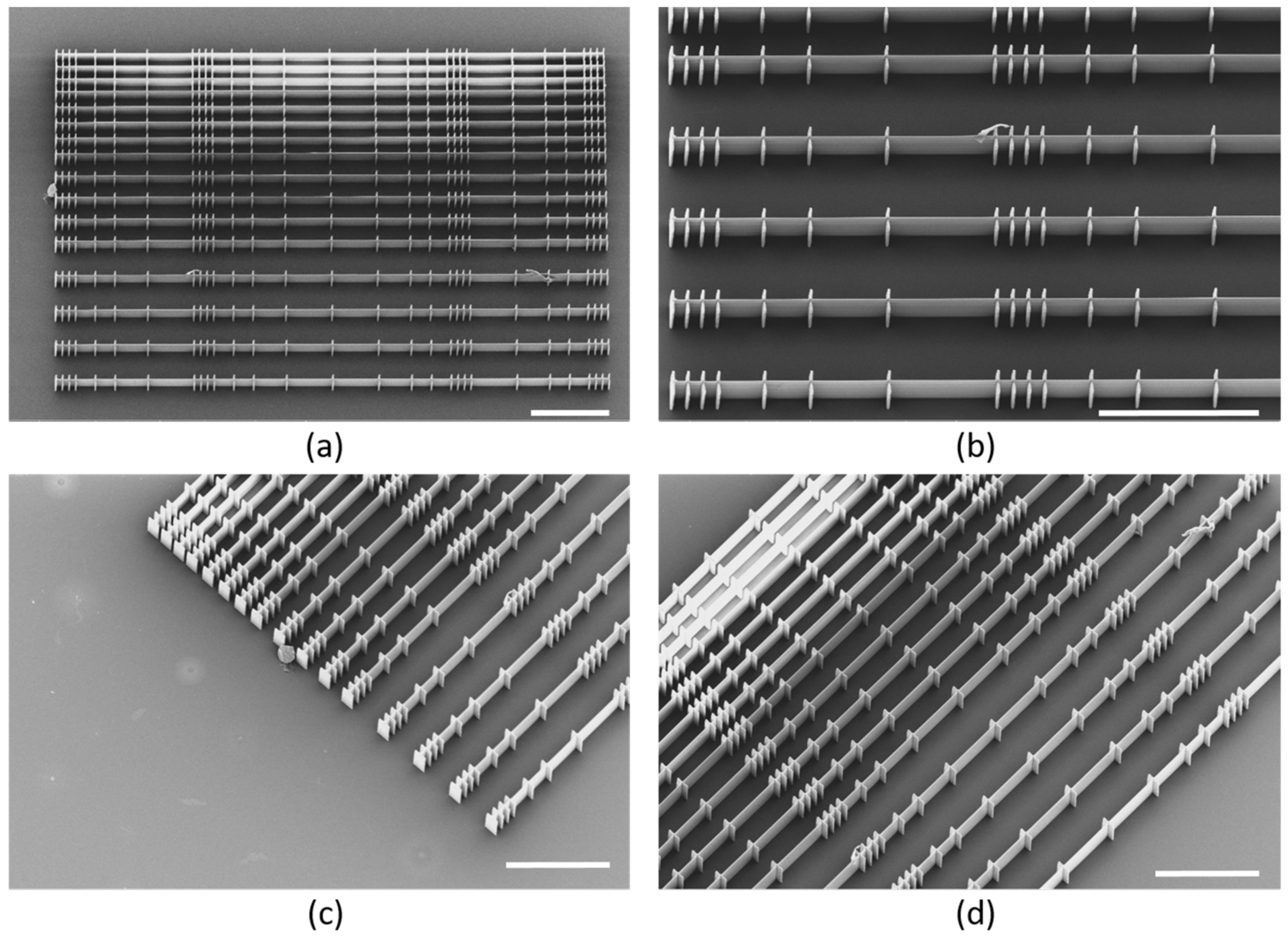 Polymers 14 04168 g003