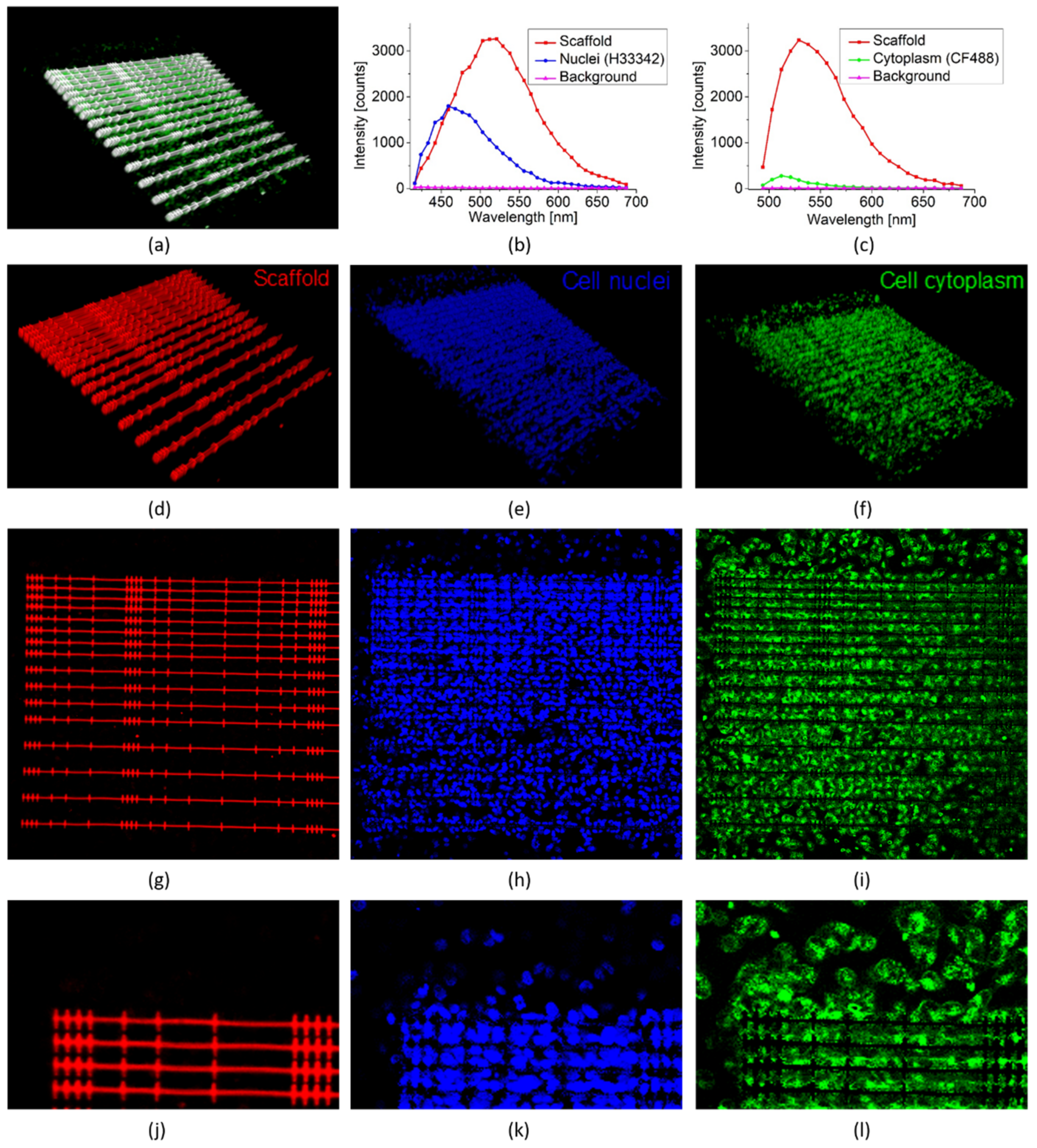 Polymers 14 04168 g005
