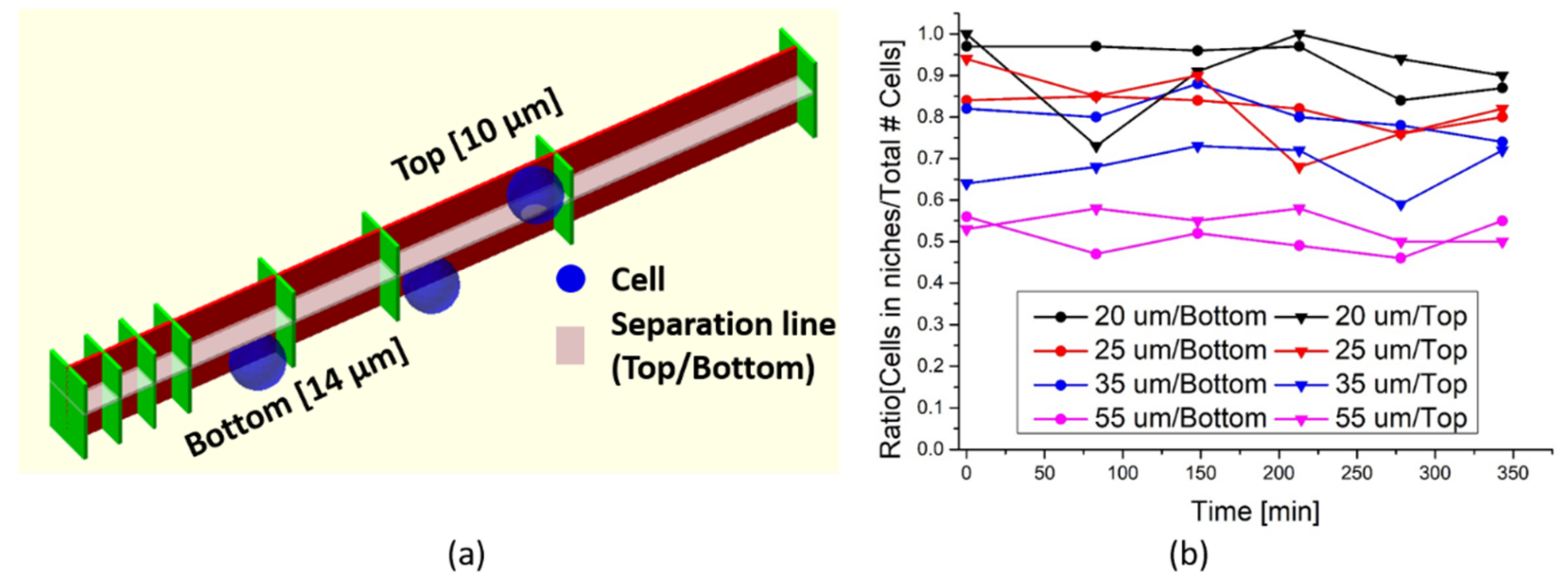 Polymers 14 04168 g007