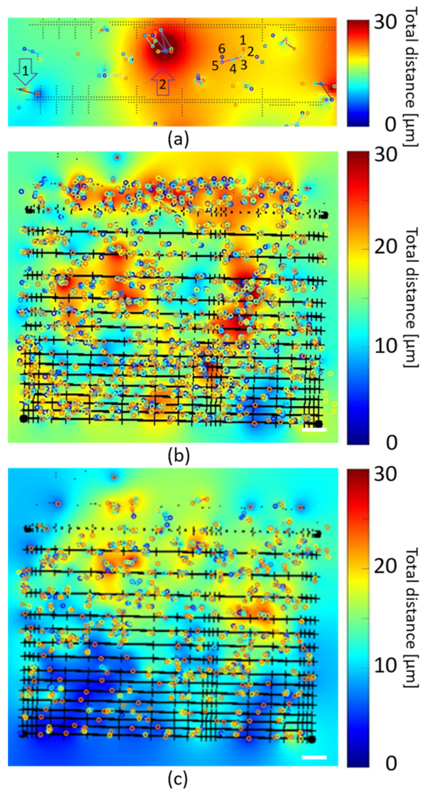 Polymers 14 04168 g008