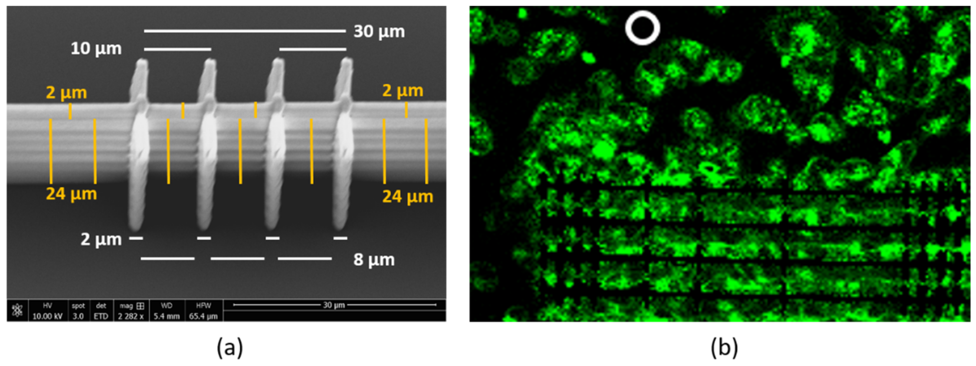 Polymers 14 04168 g0a1