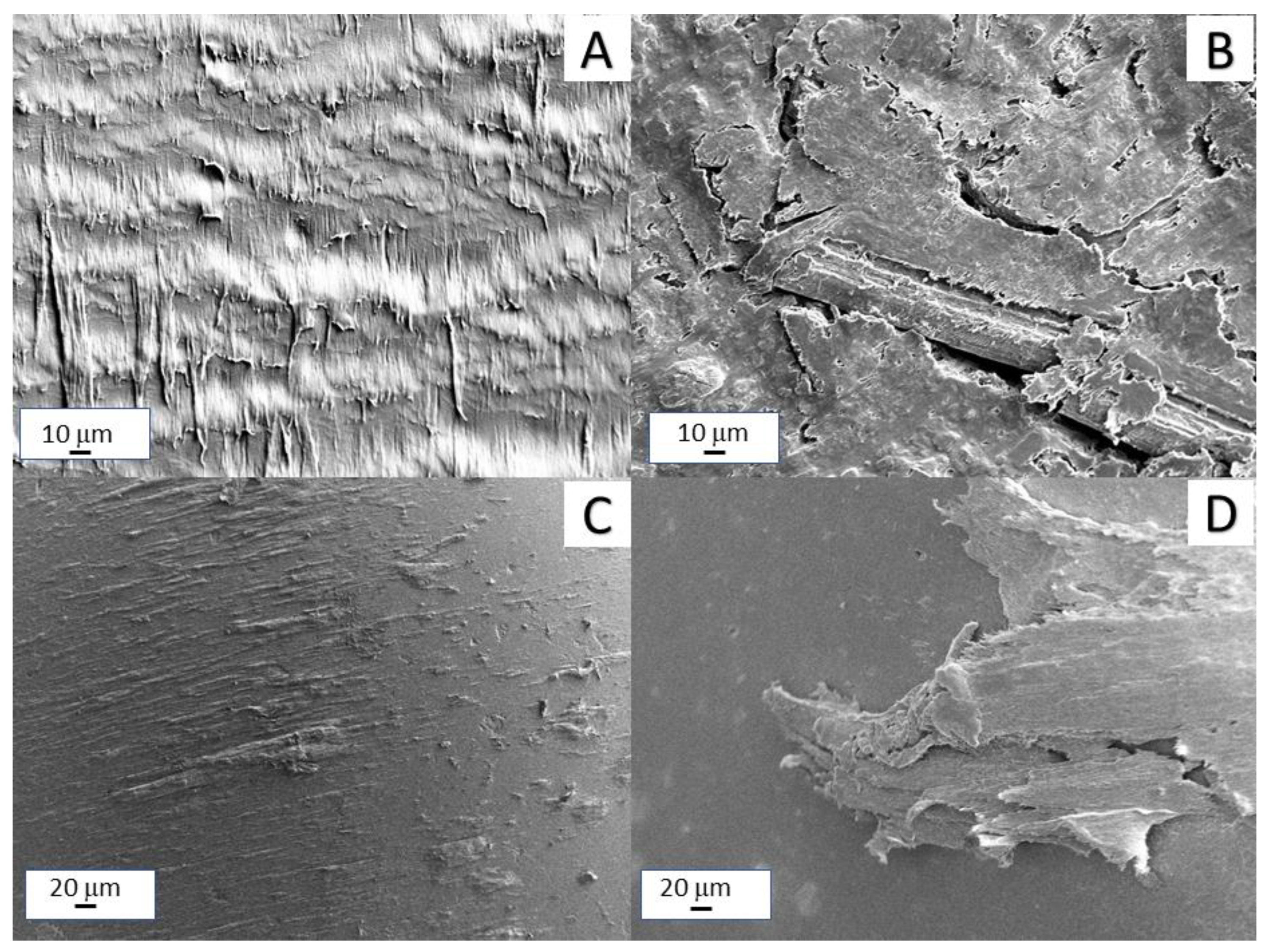 Polymers 14 04171 g009