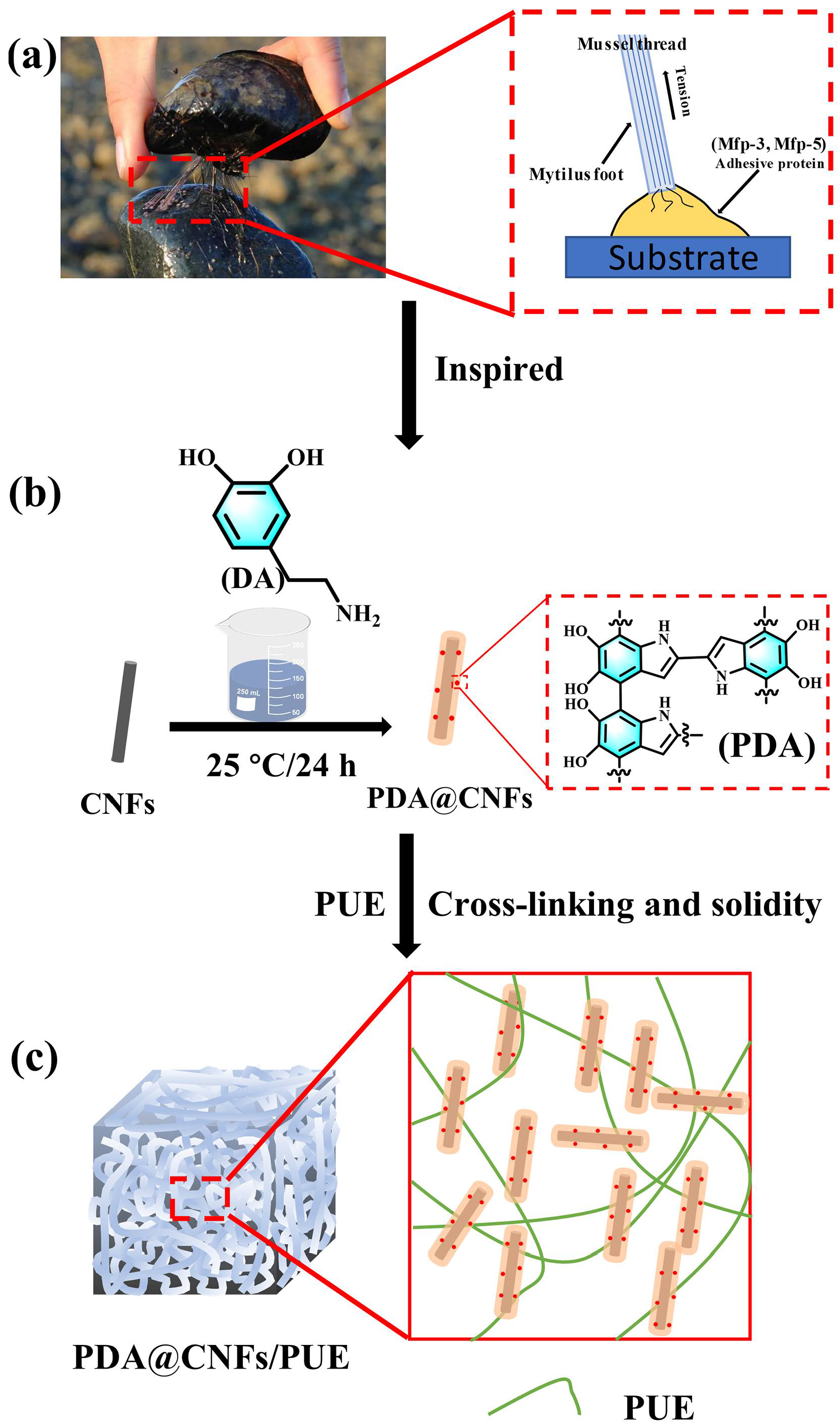 Polymers 14 04177 g001 Polymers 14 04177 g001
