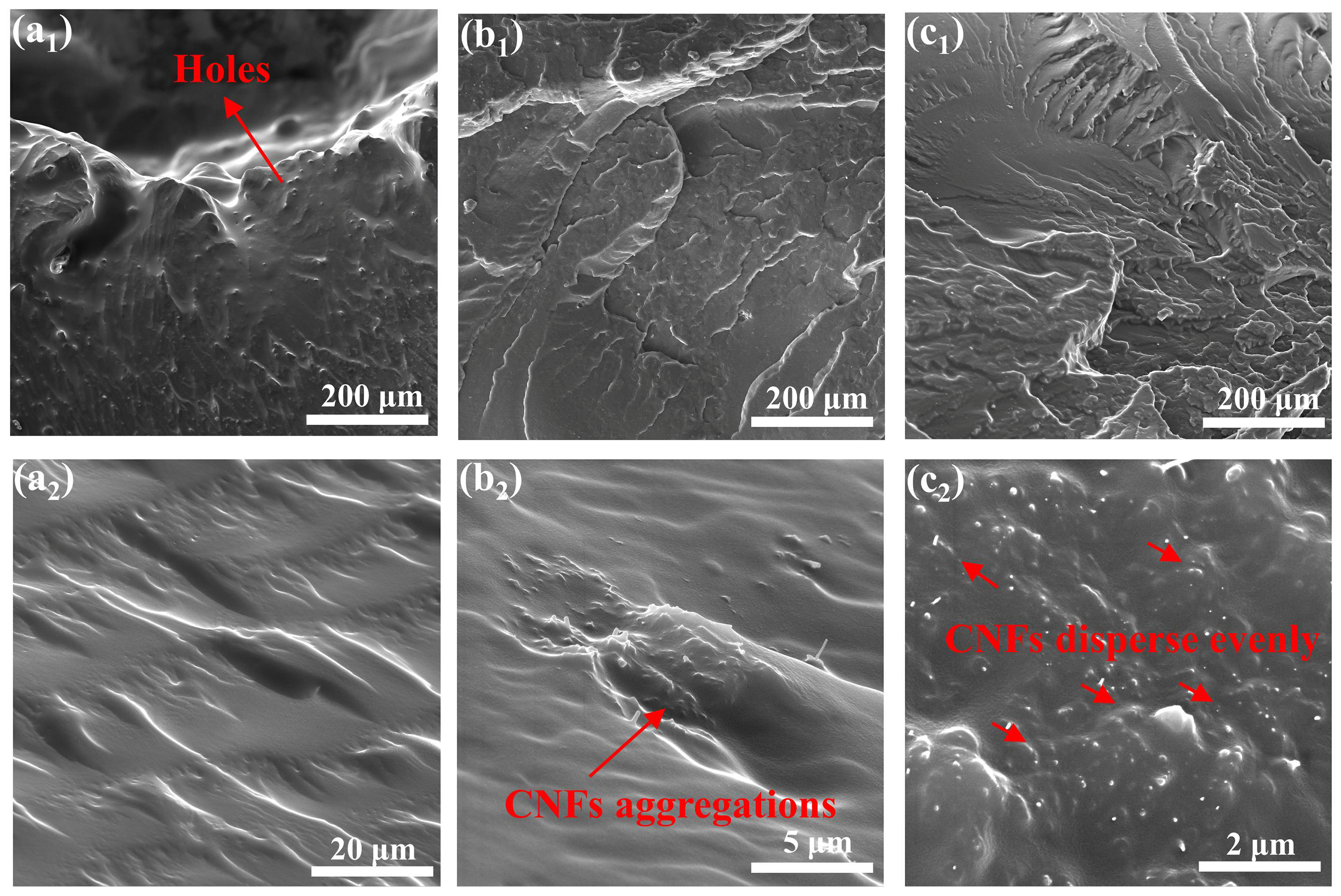Polymers 14 04177 g009 Polymers 14 04177 g009