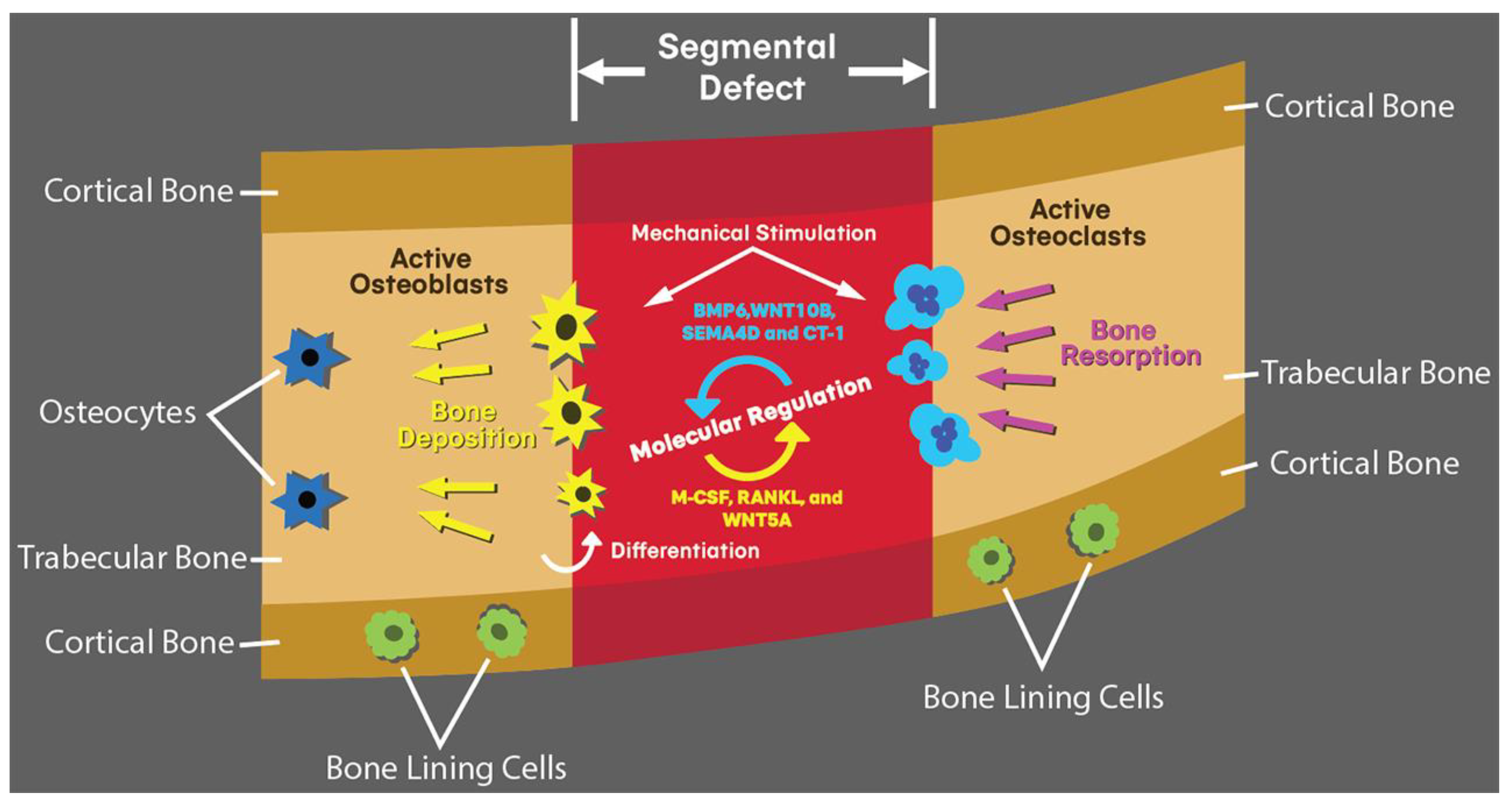 Polymers 14 04186 g001 Polymers 14 04186 g001