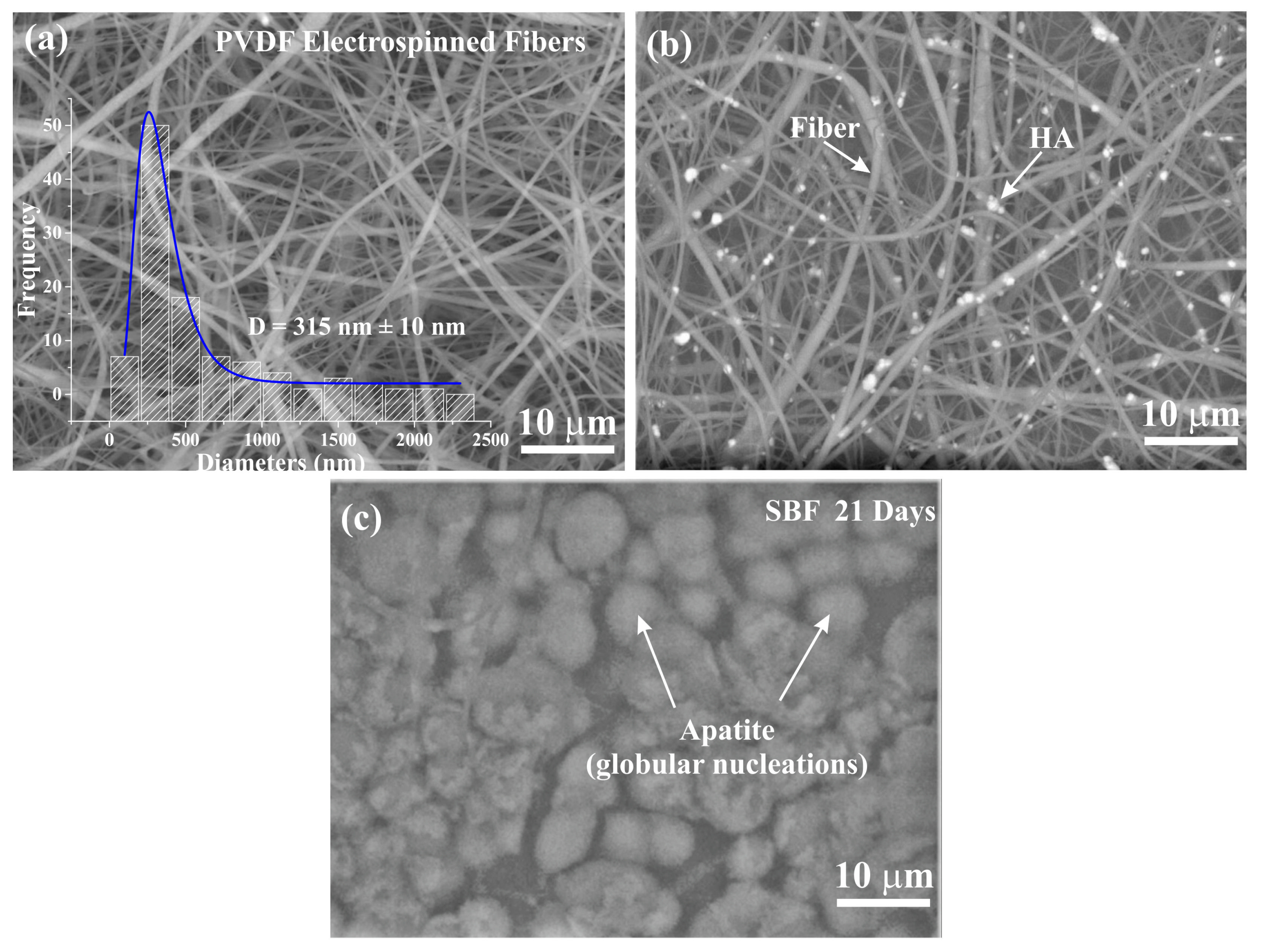 Polymers 14 04190 g001