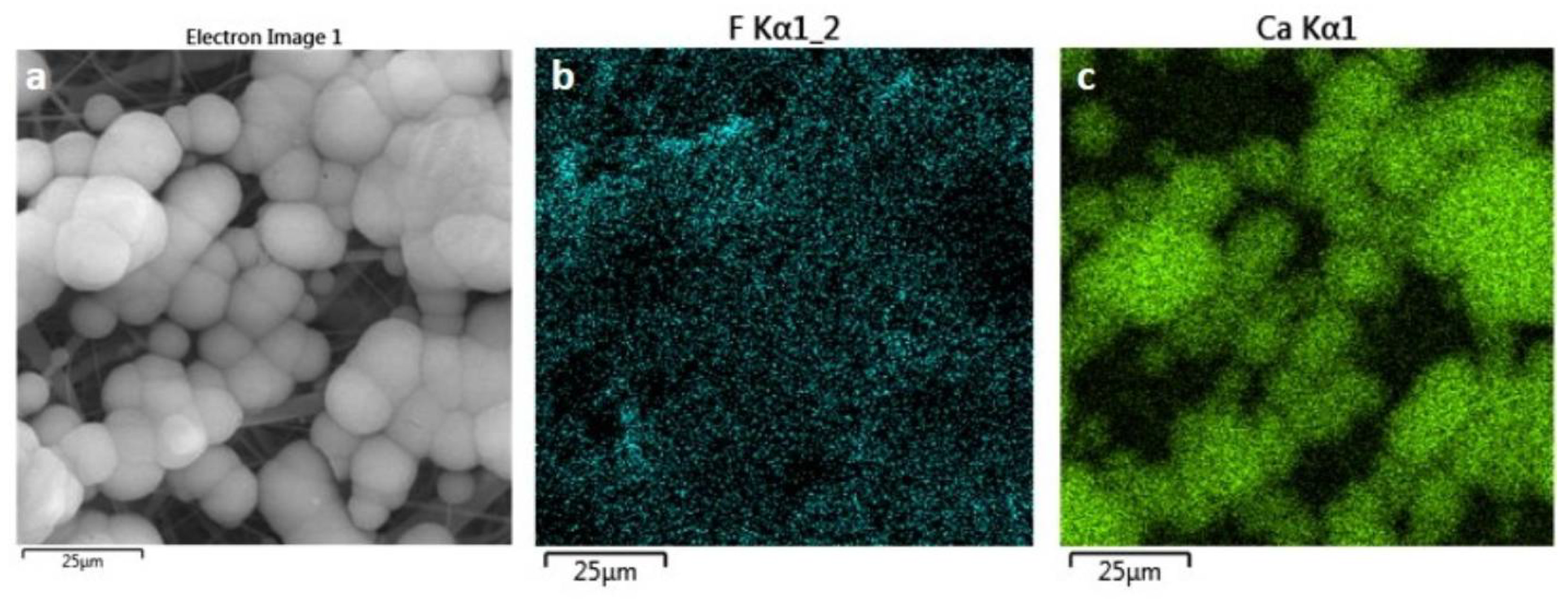 Polymers 14 04190 g002