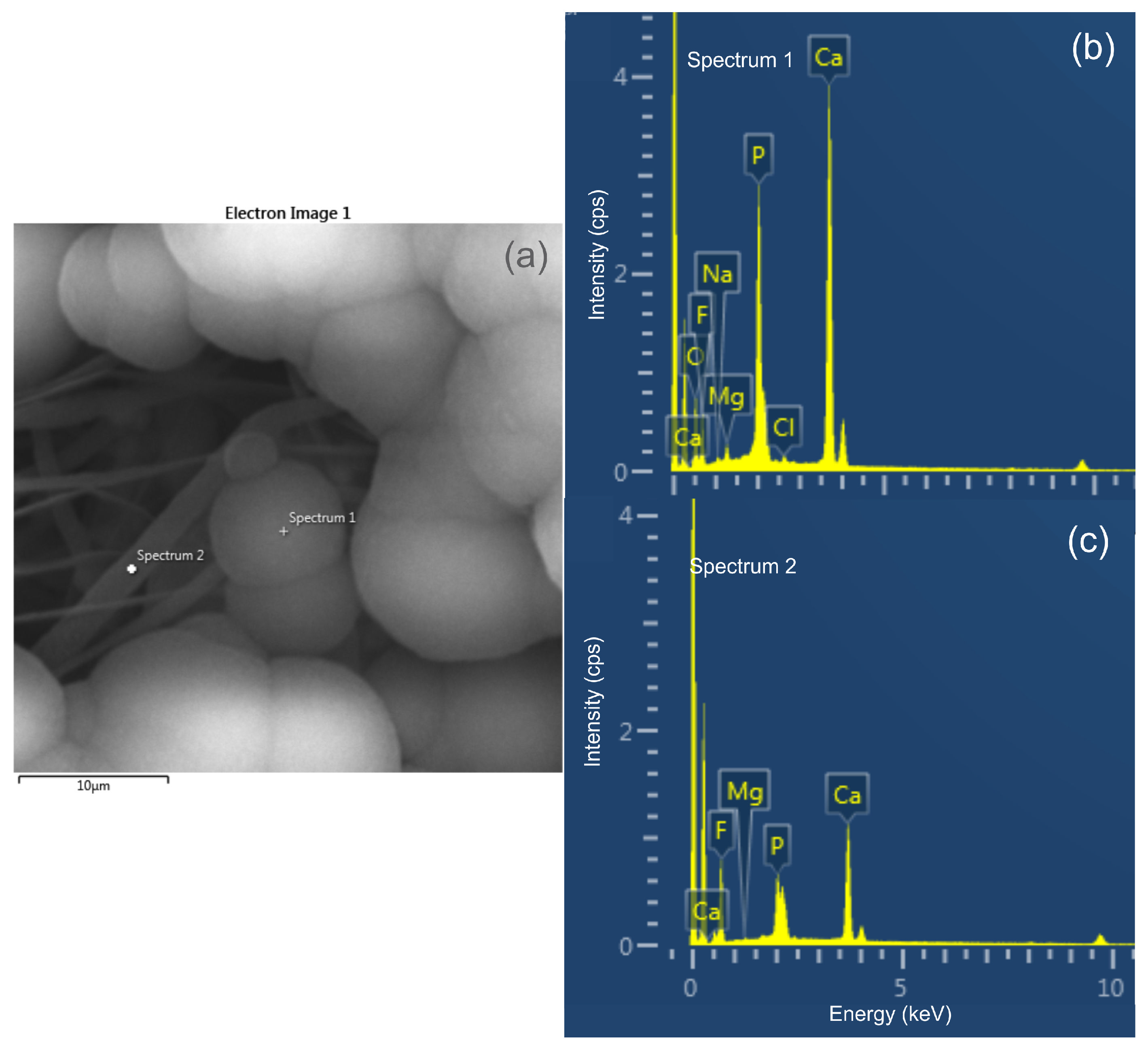 Polymers 14 04190 g003
