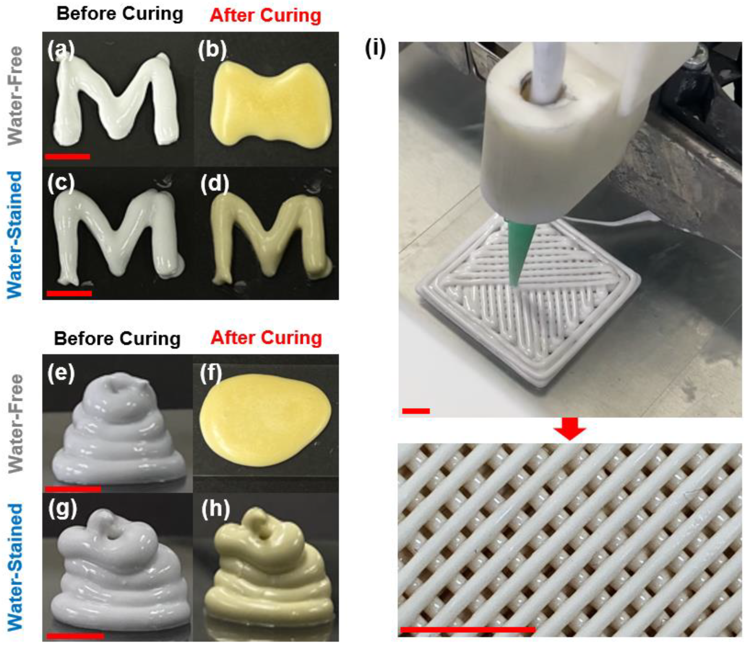 Polymers 14 04191 g003