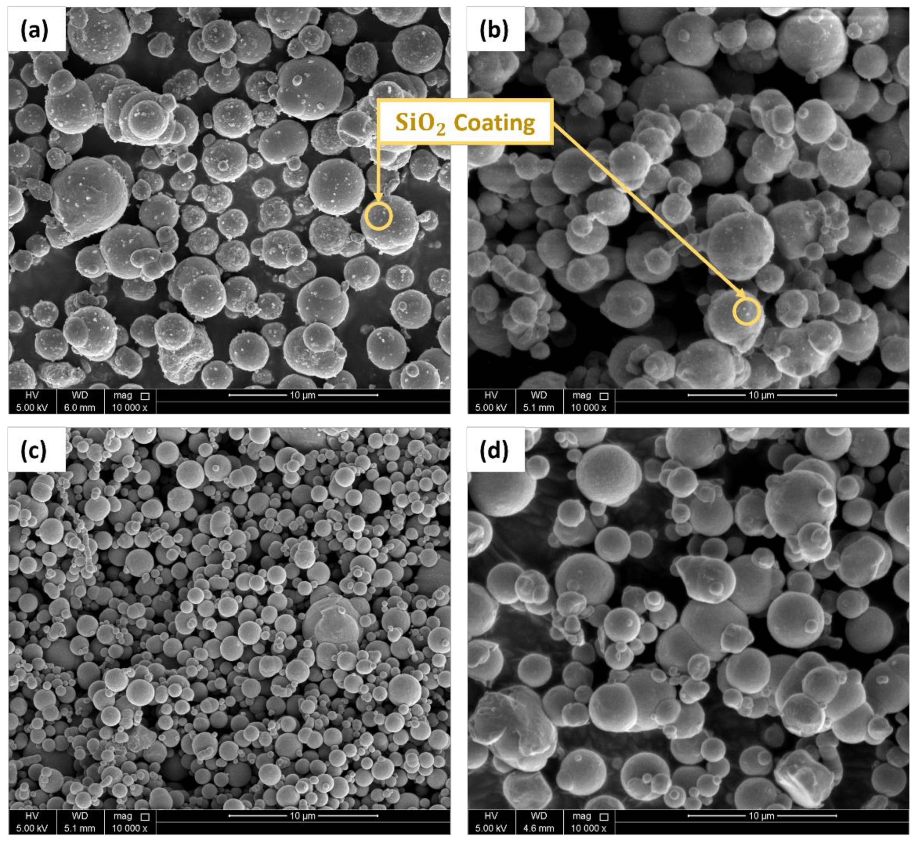 Polymers 14 04193 g003