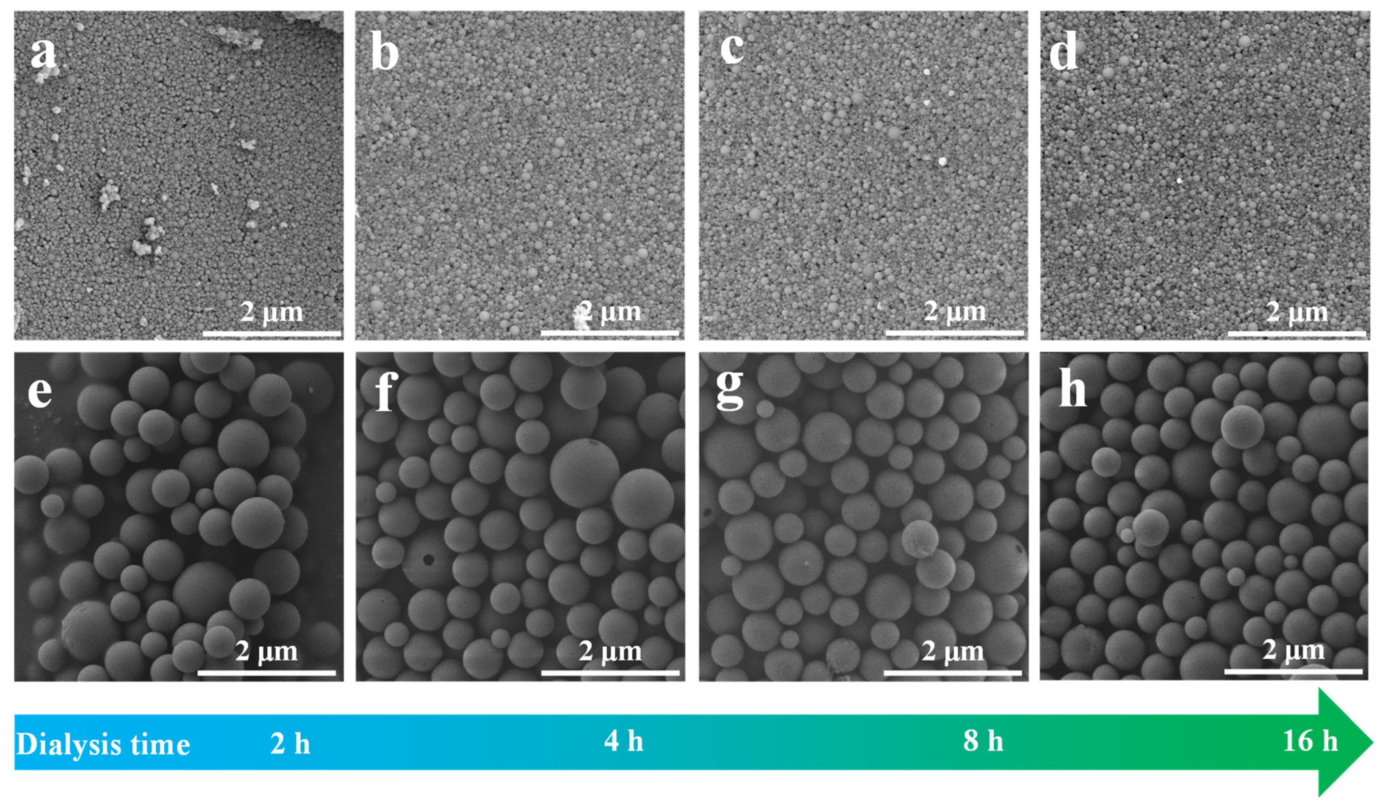 Polymers 14 04196 g002 Polymers 14 04196 g002