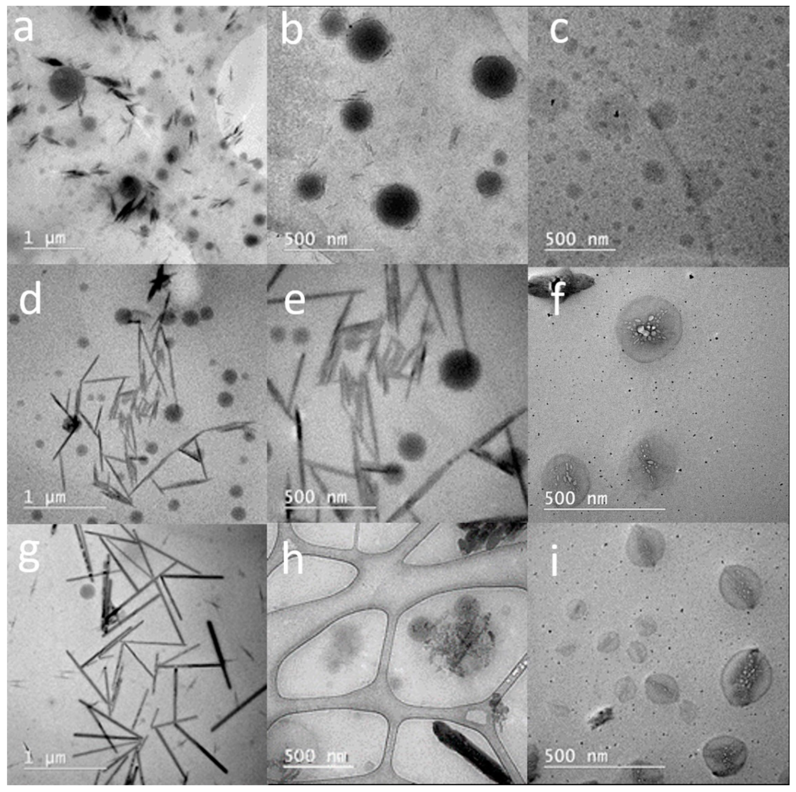 Polymers 14 04200 g003