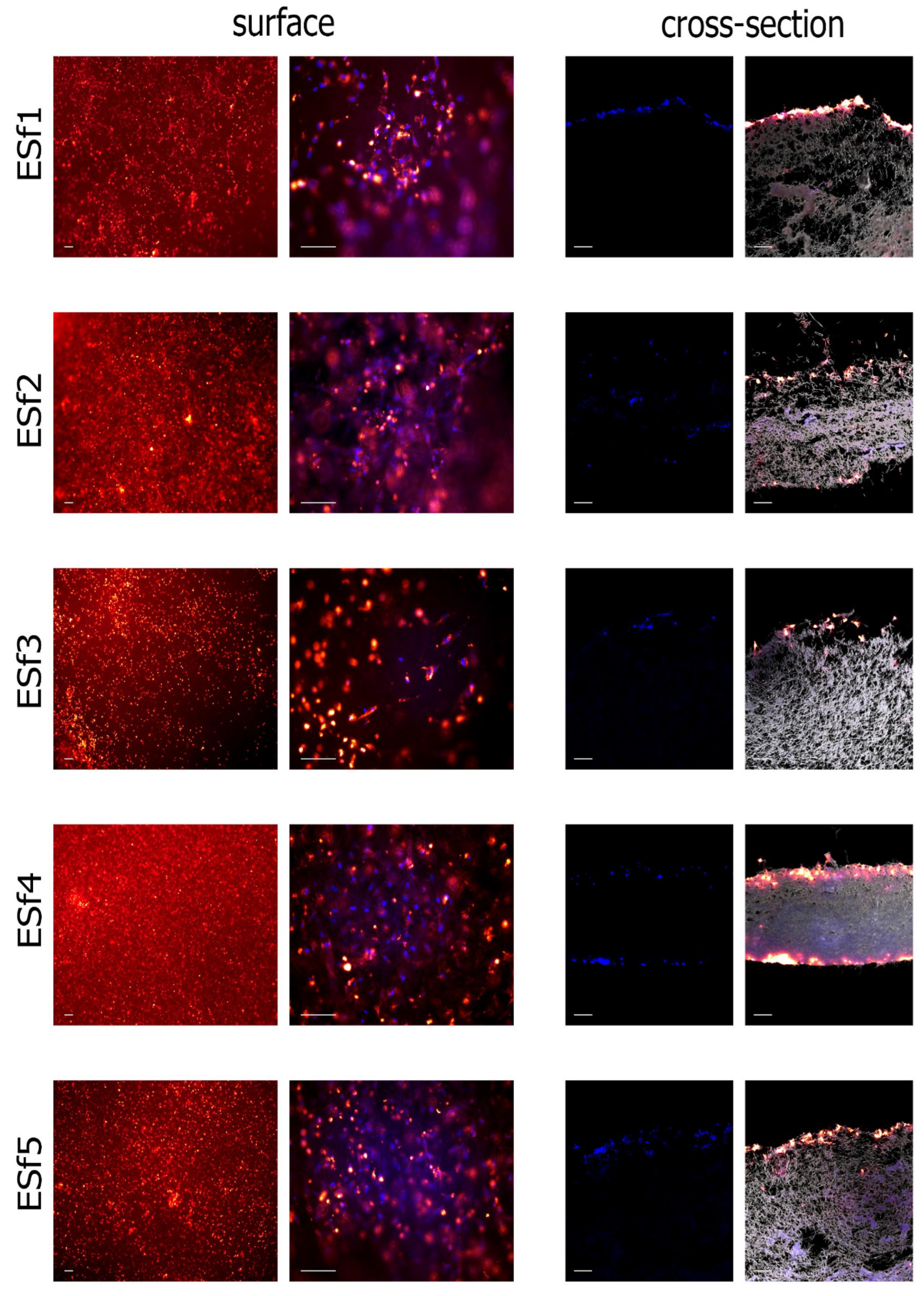 Polymers 14 04203 g005