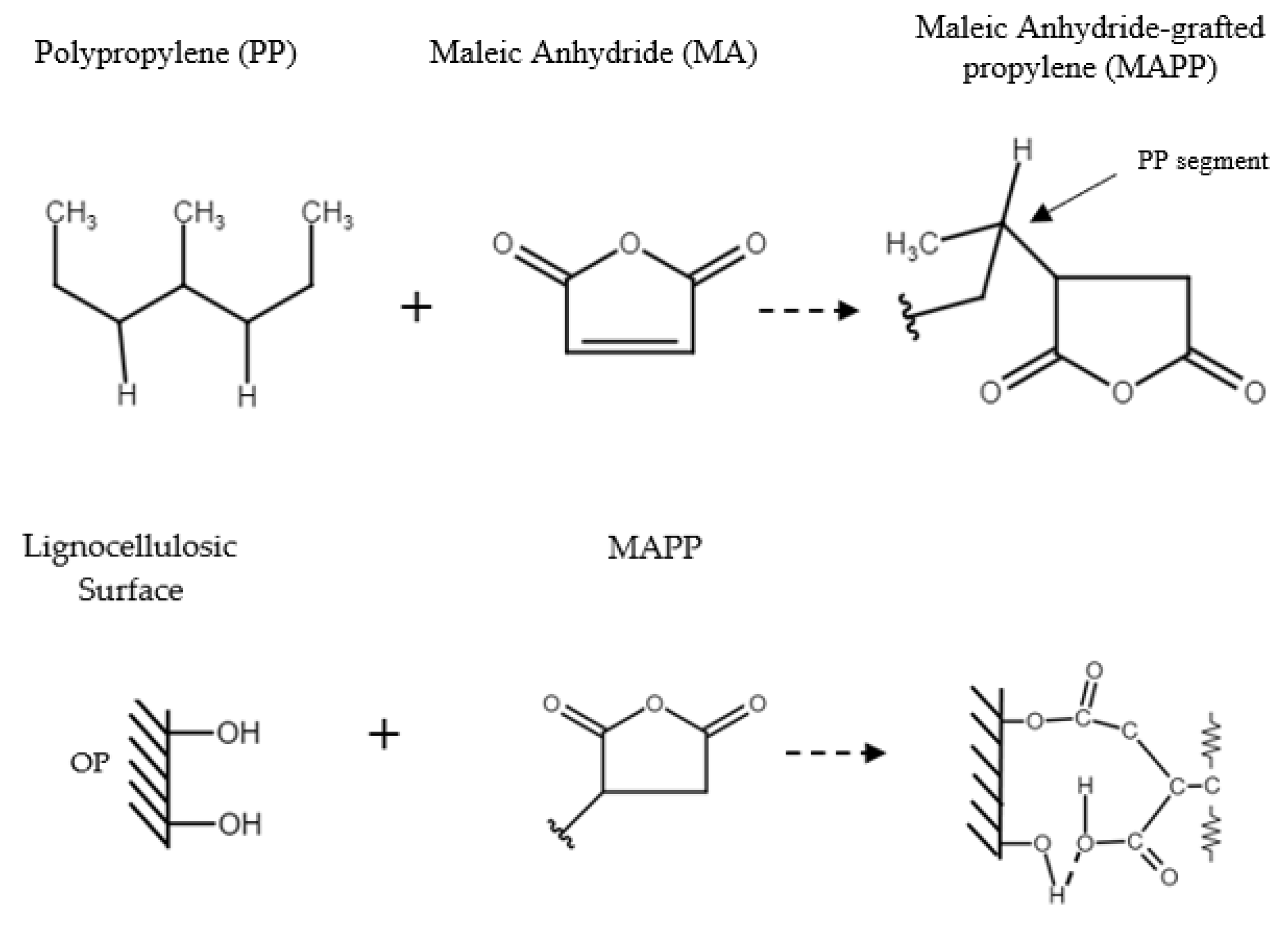 Polymers 14 04206 g017
