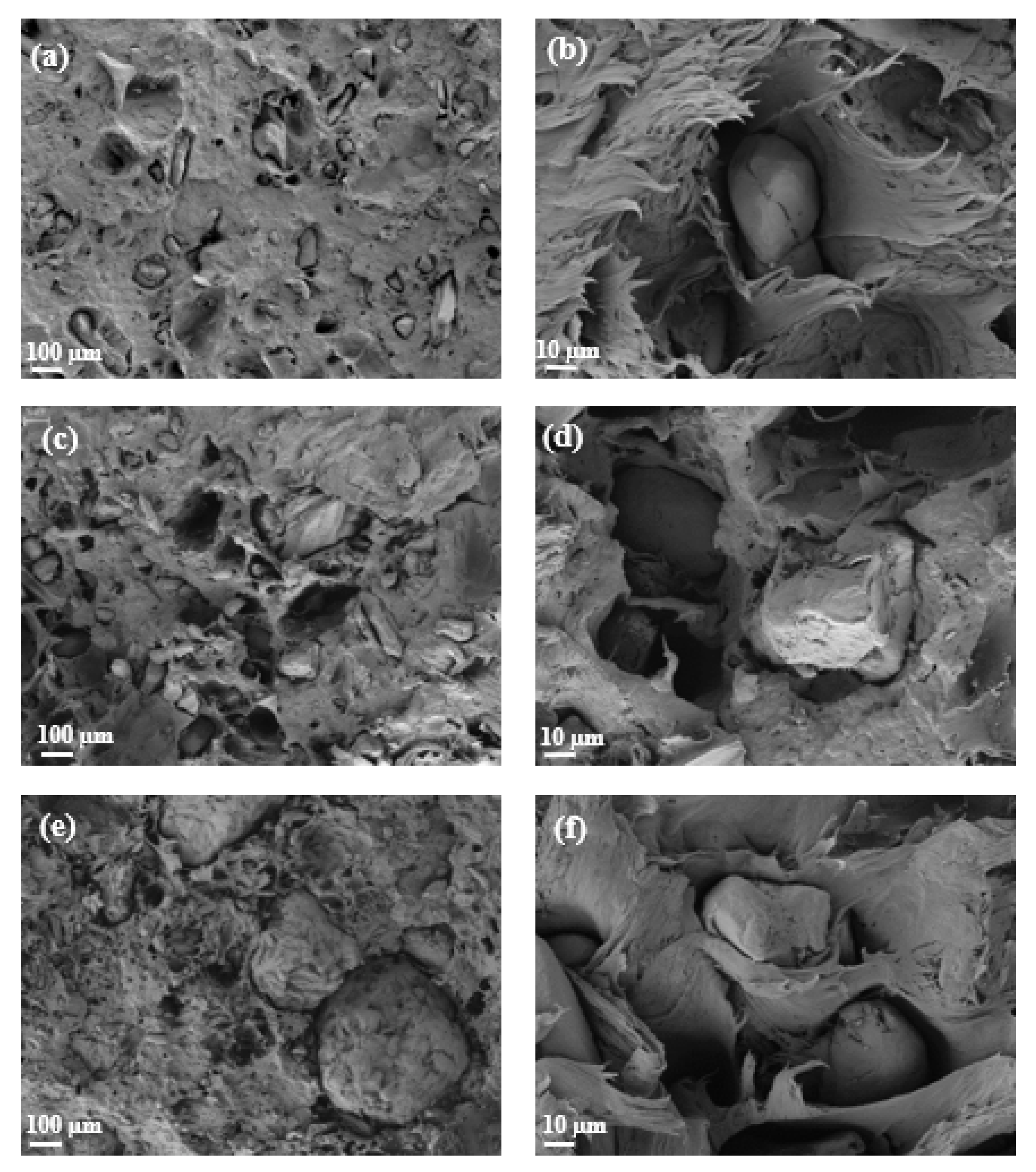 Polymers 14 04206 g018
