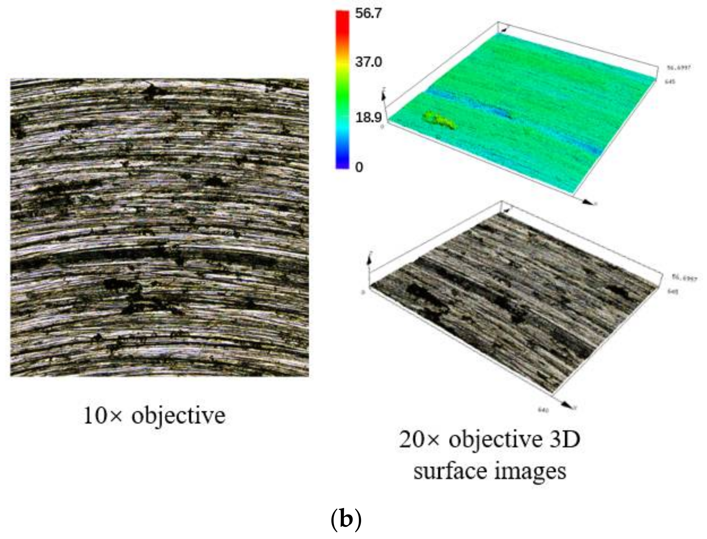 Polymers 14 04207 g002b