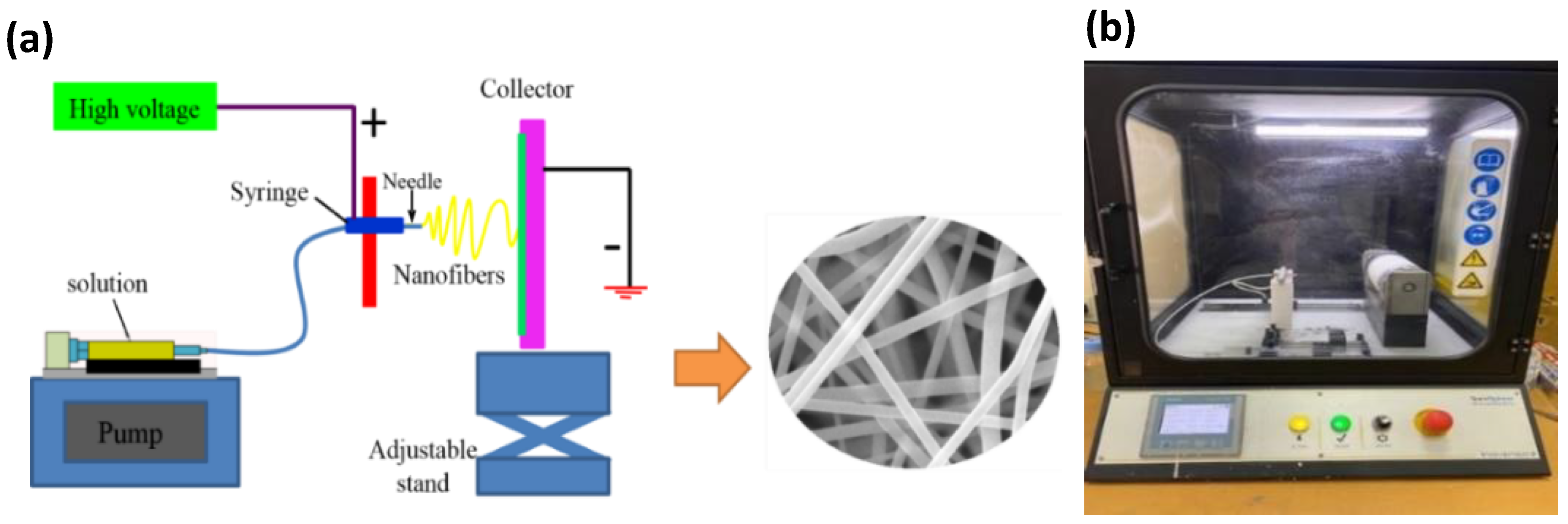 Polymers 14 04209 g001