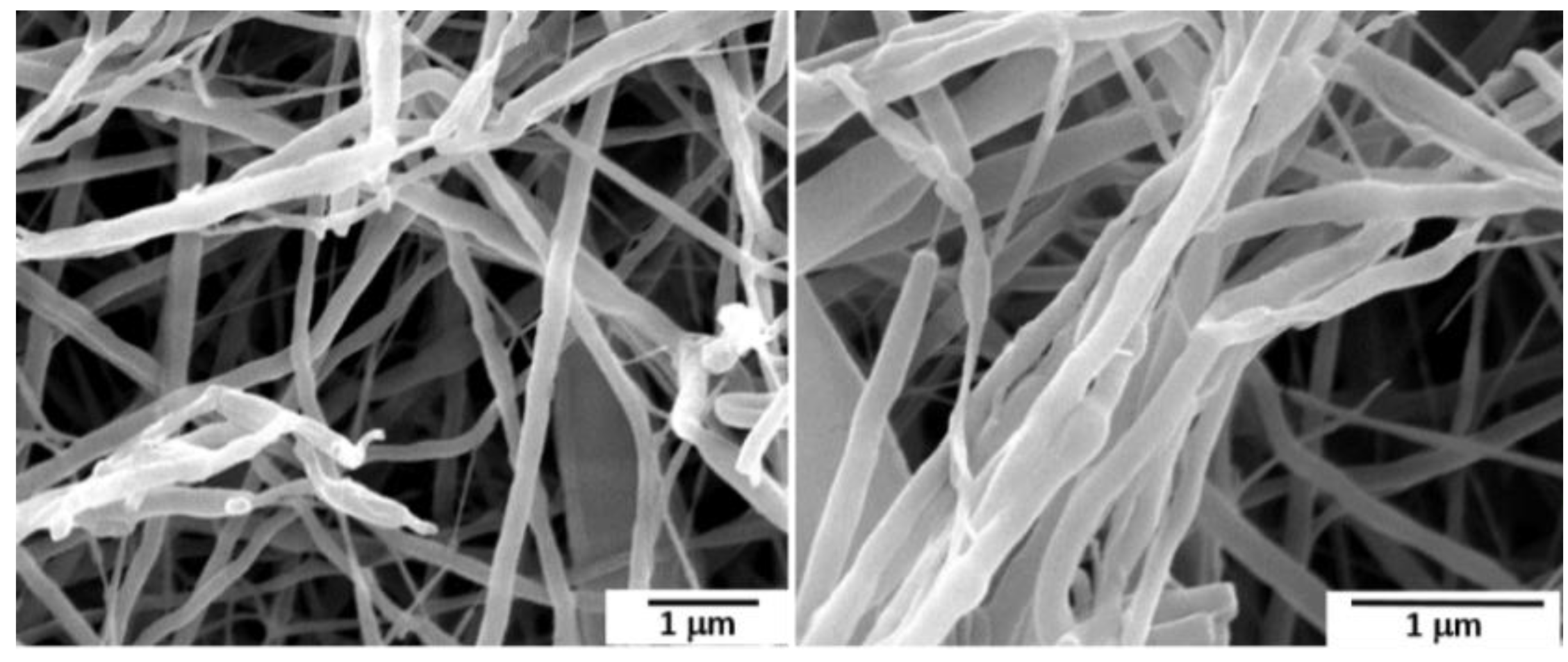 Polymers 14 04209 g004