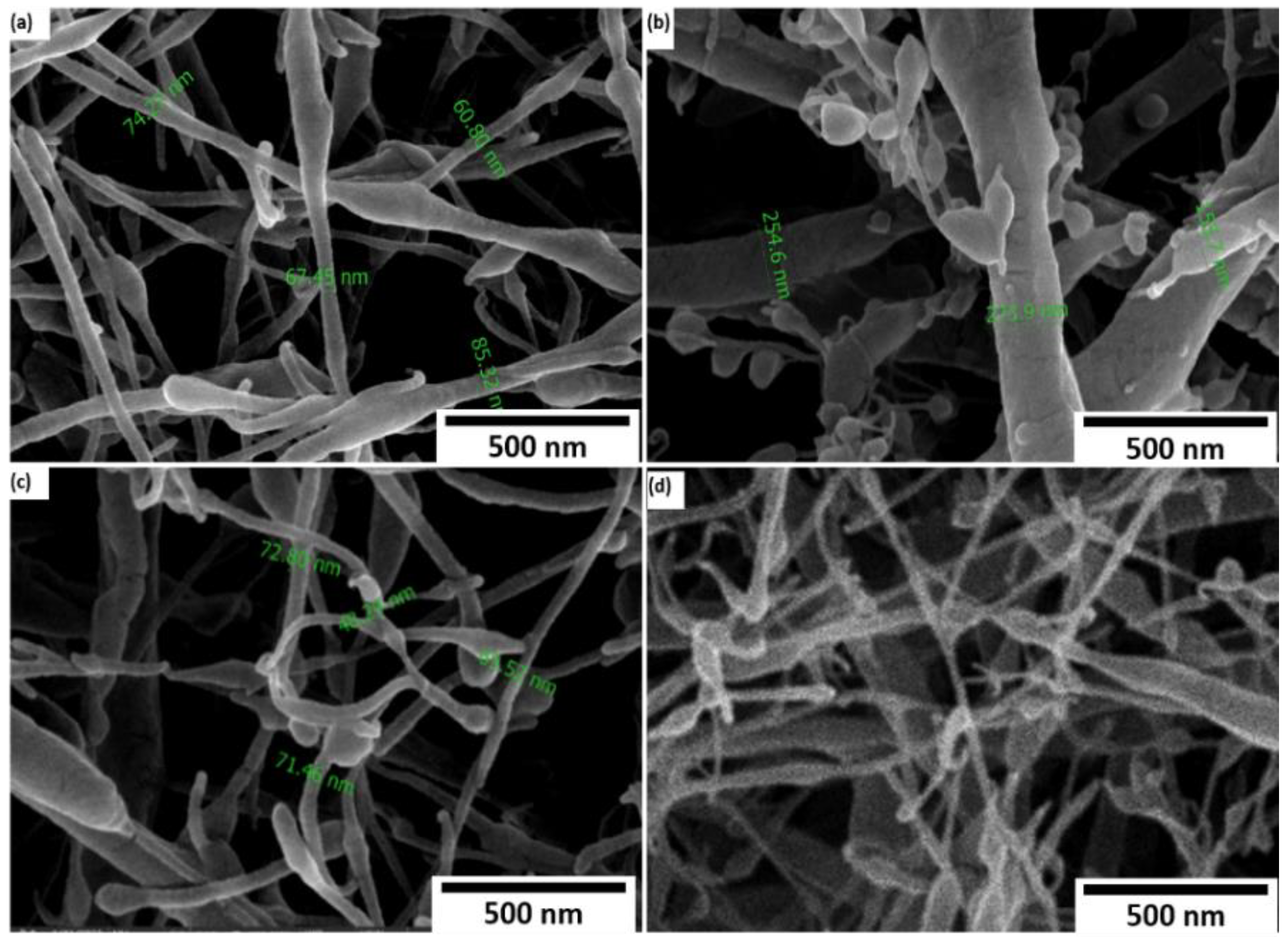 Polymers 14 04209 g005
