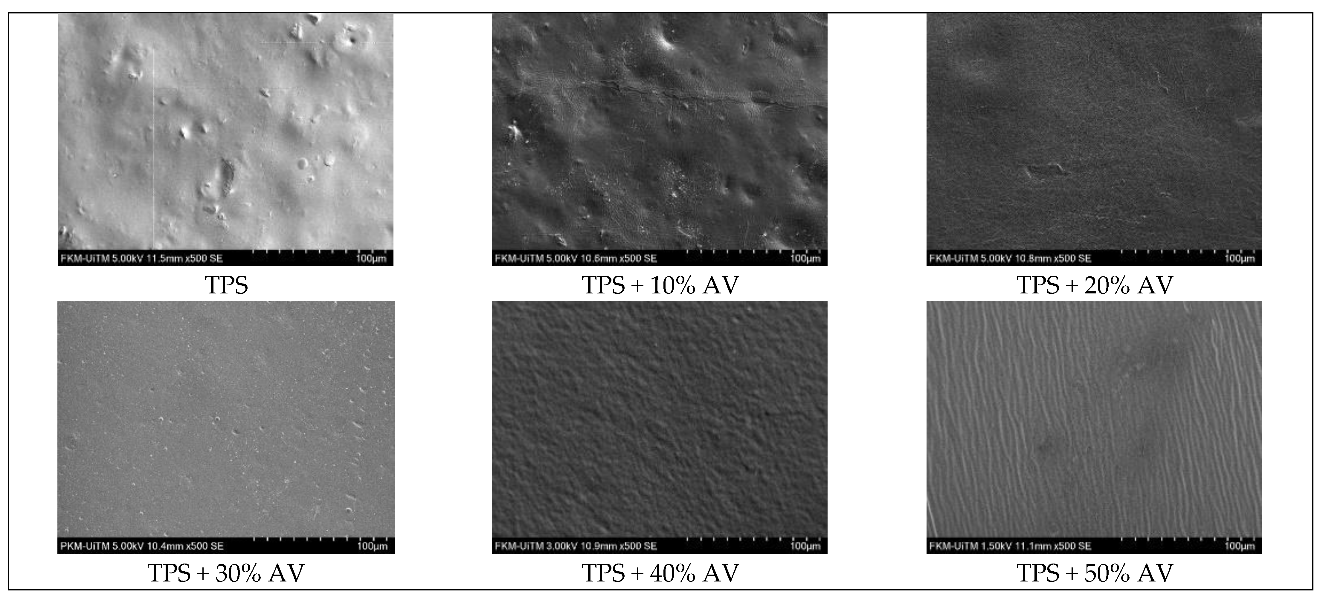 Polymers 14 04213 g007 Polymers 14 04213 g007
