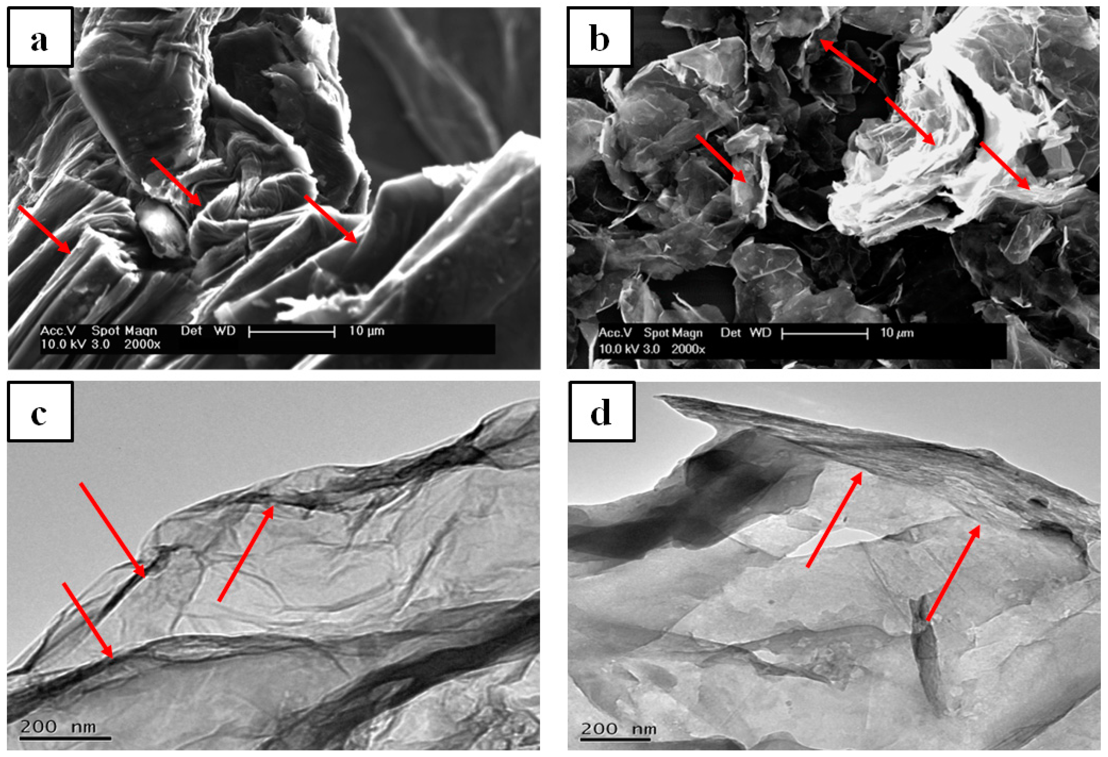 Polymers 14 04224 g003