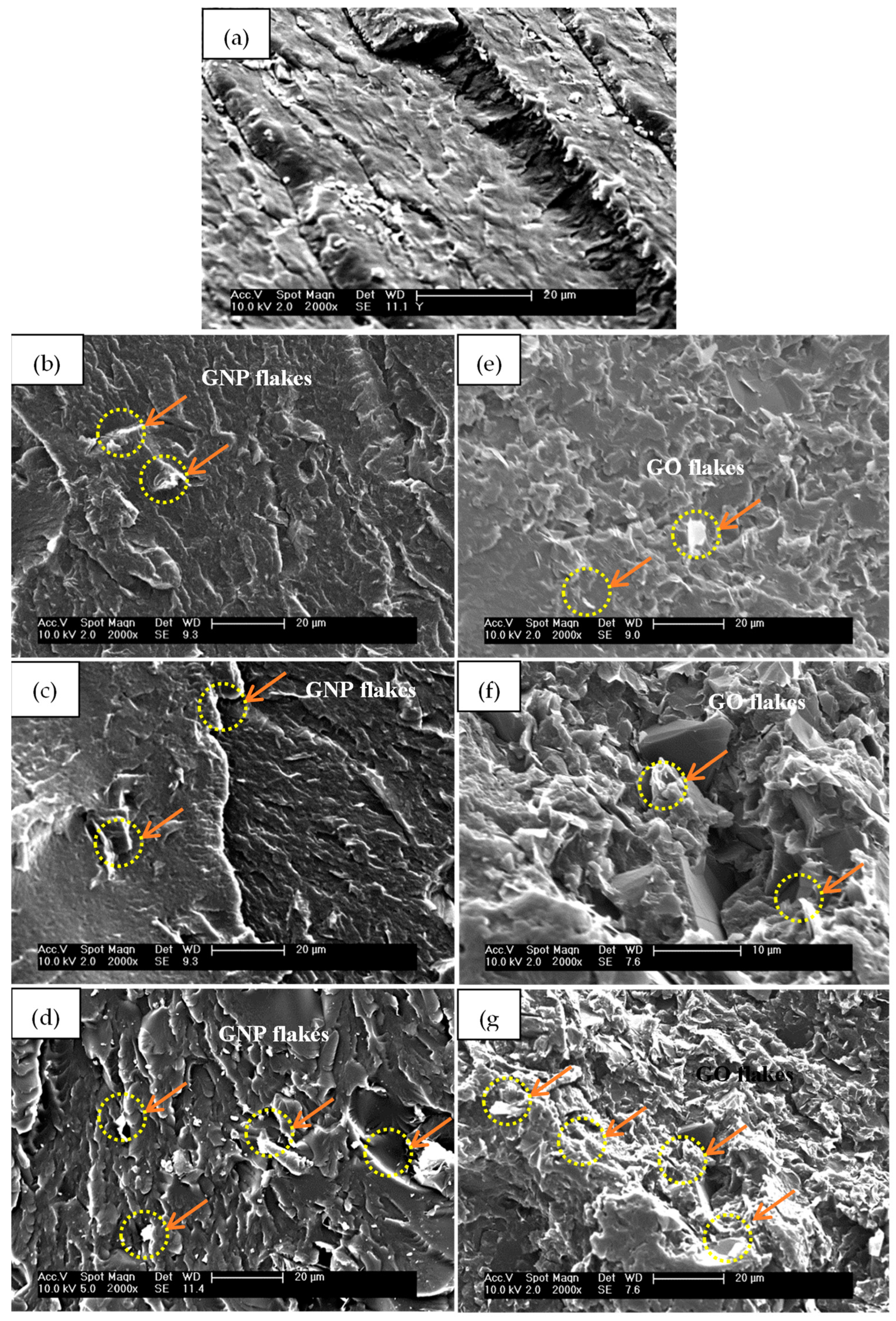 Polymers 14 04224 g008