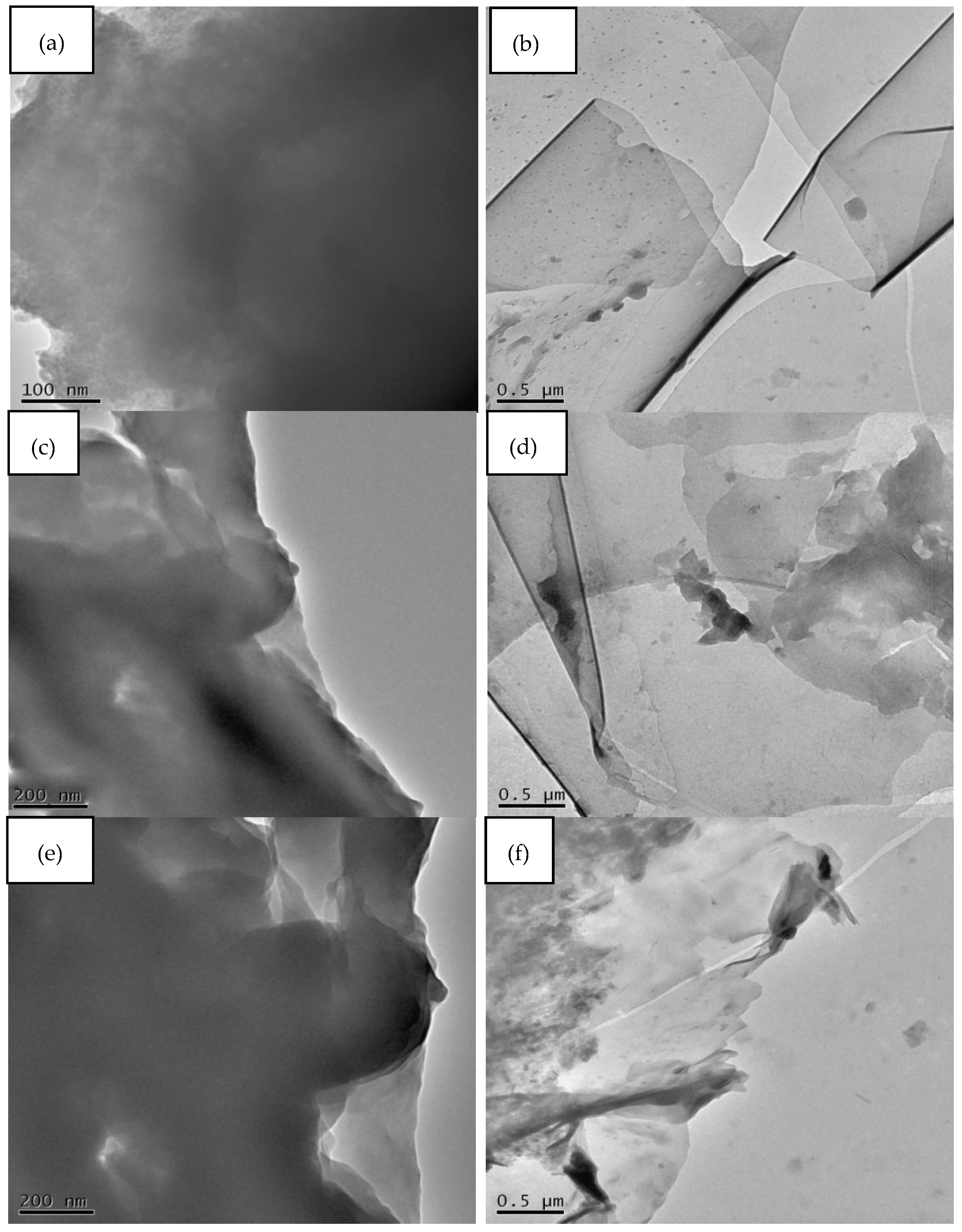 Polymers 14 04224 g009