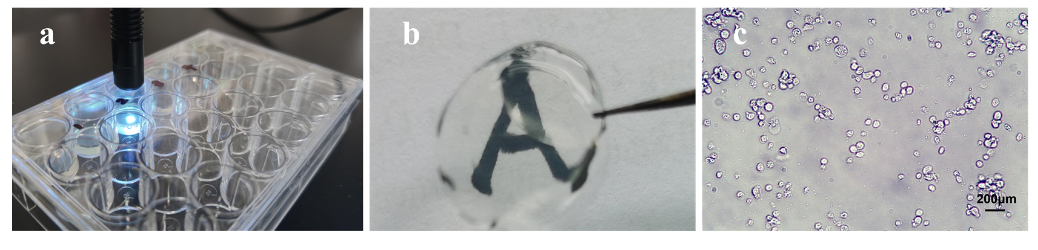 Polymers 14 04227 g002