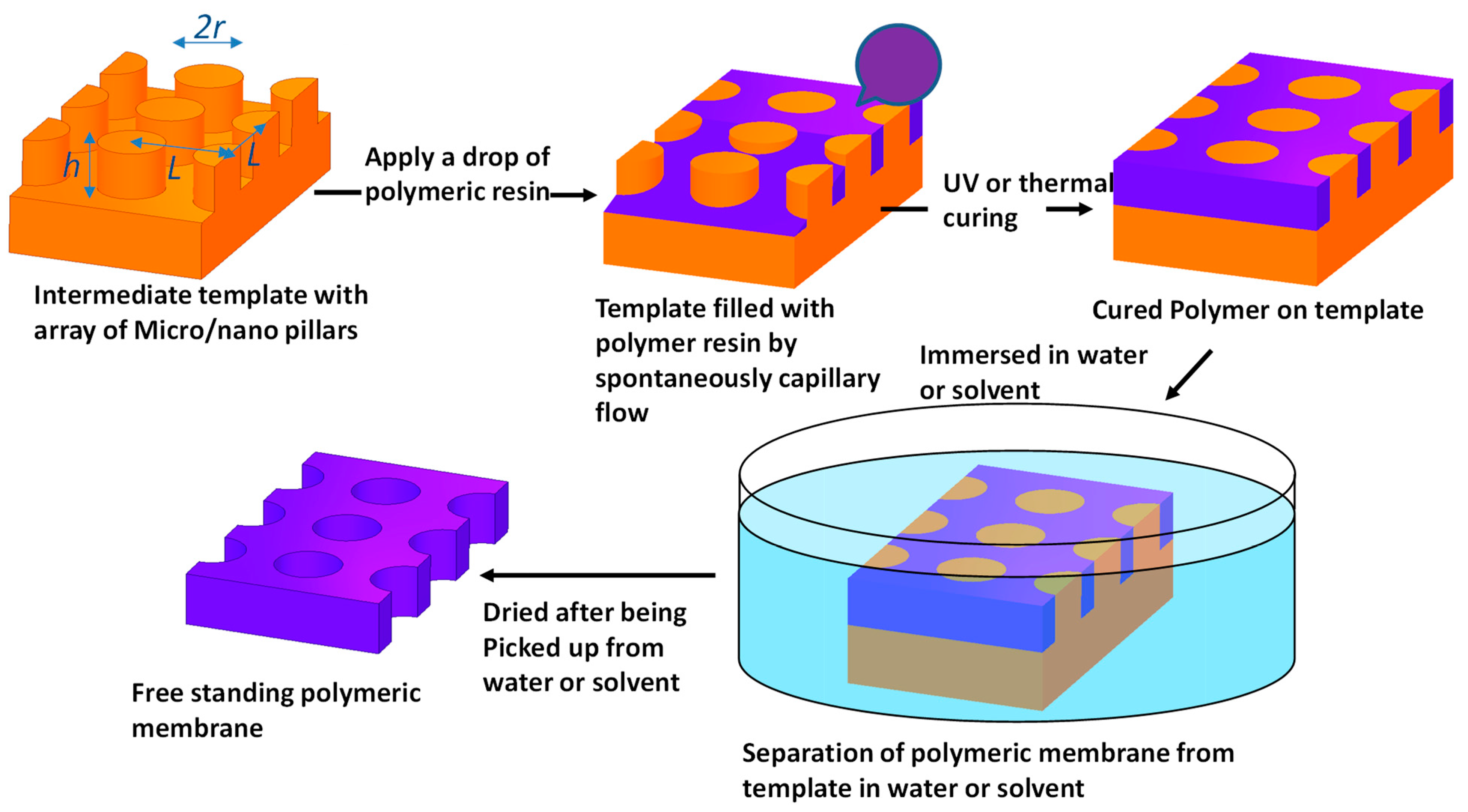 Polymers 14 04228 g001
