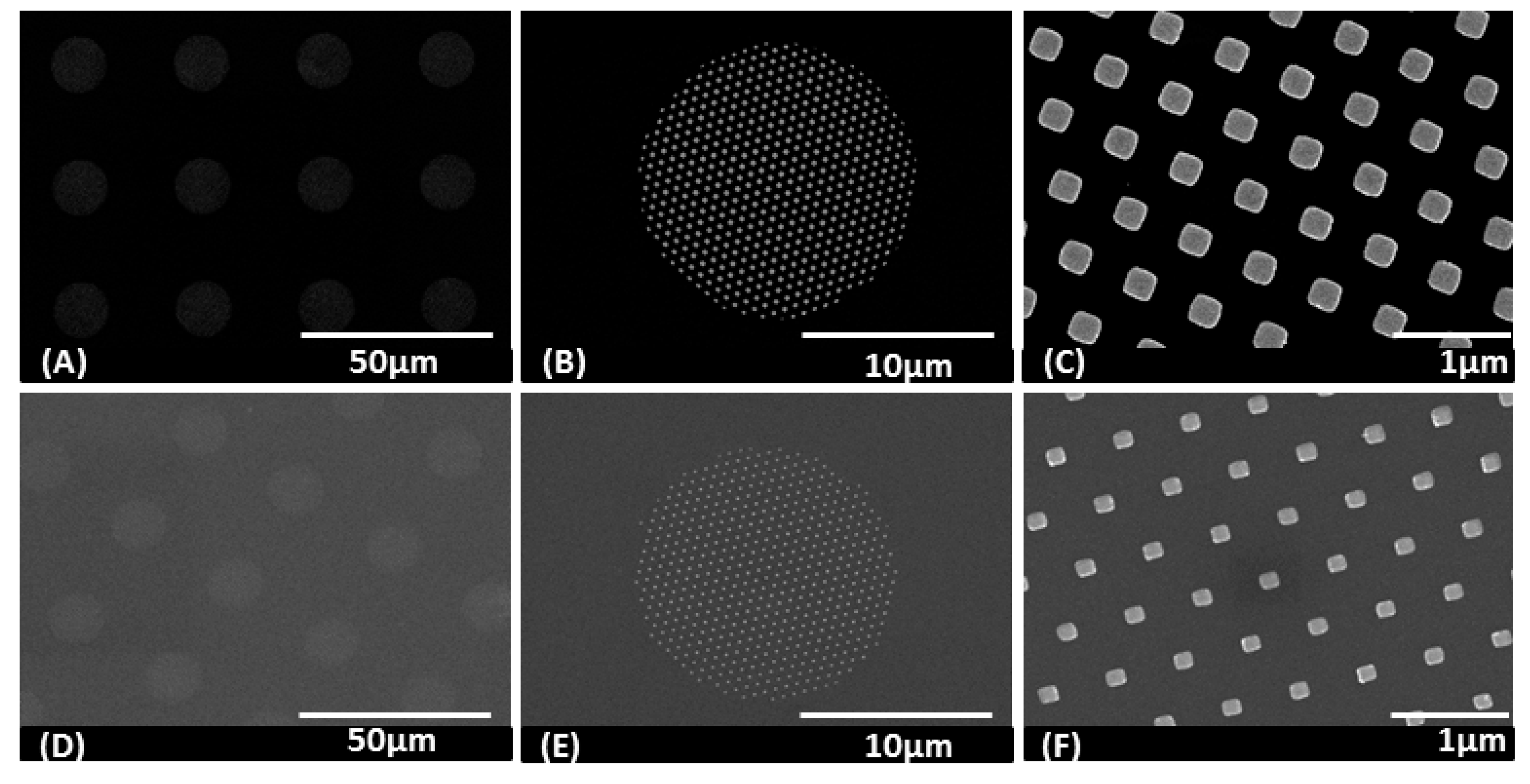 Polymers 14 04228 g007