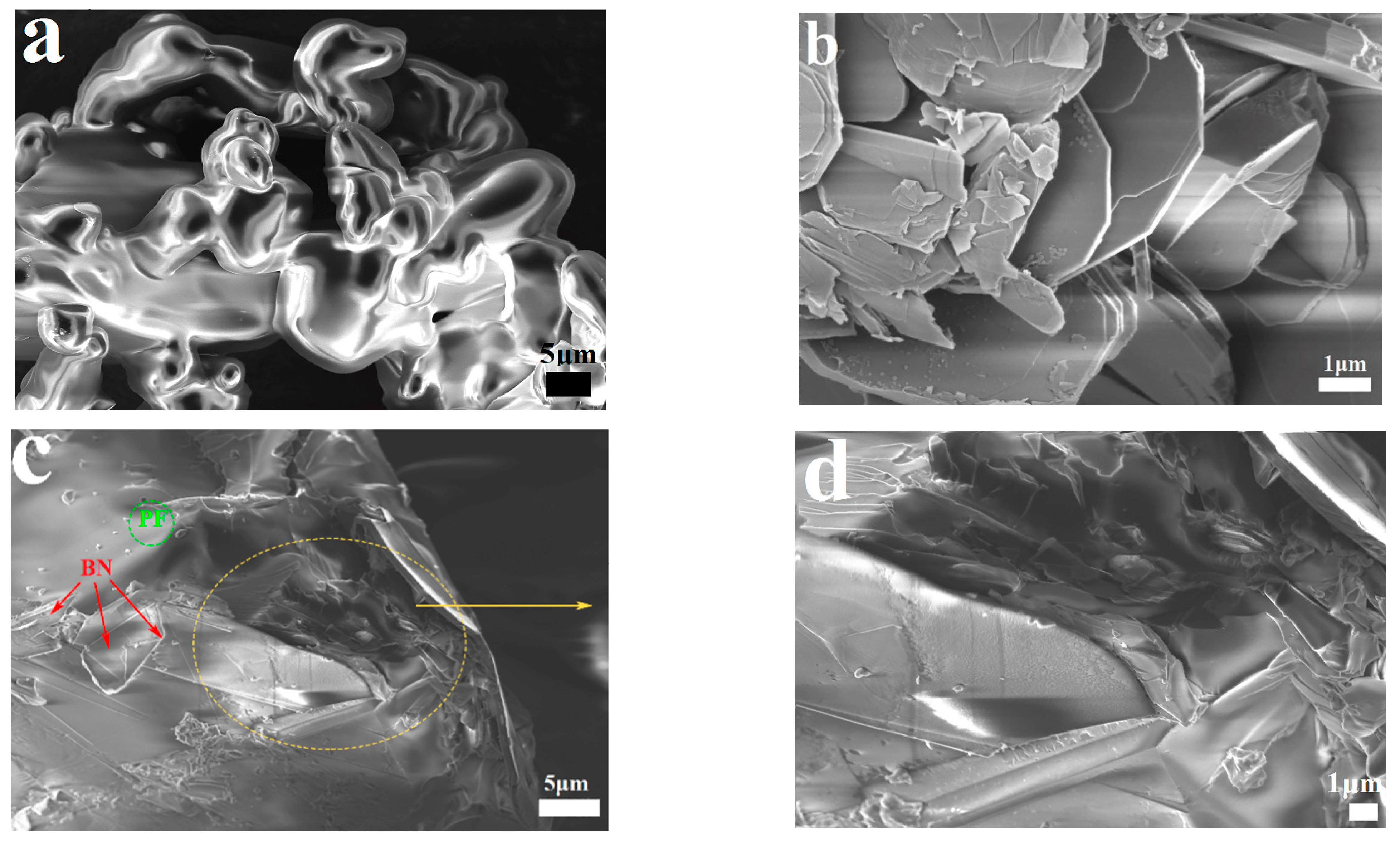 Polymers 14 04230 g001