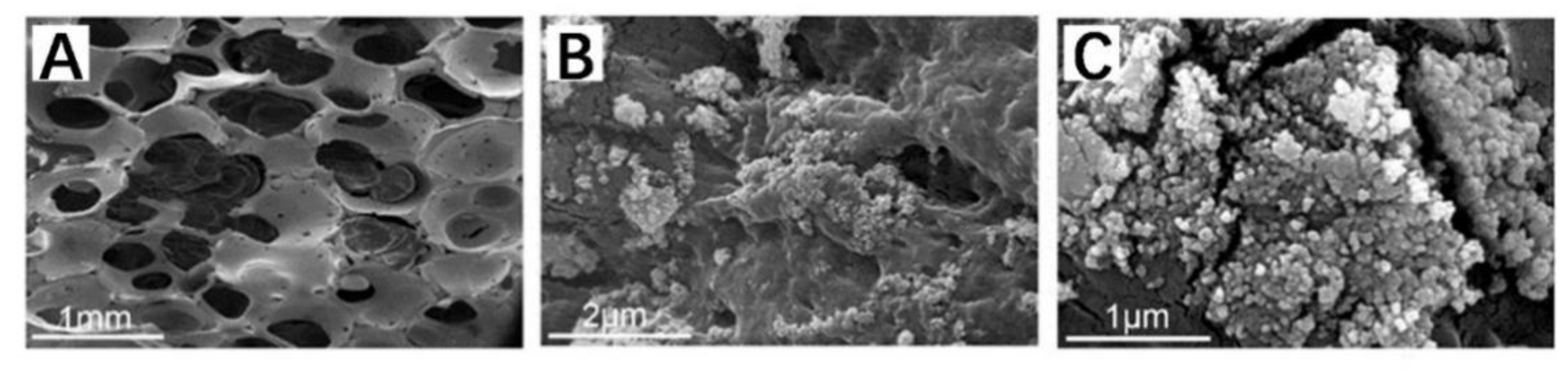 Polymers 14 04233 g005 Polymers 14 04233 g005