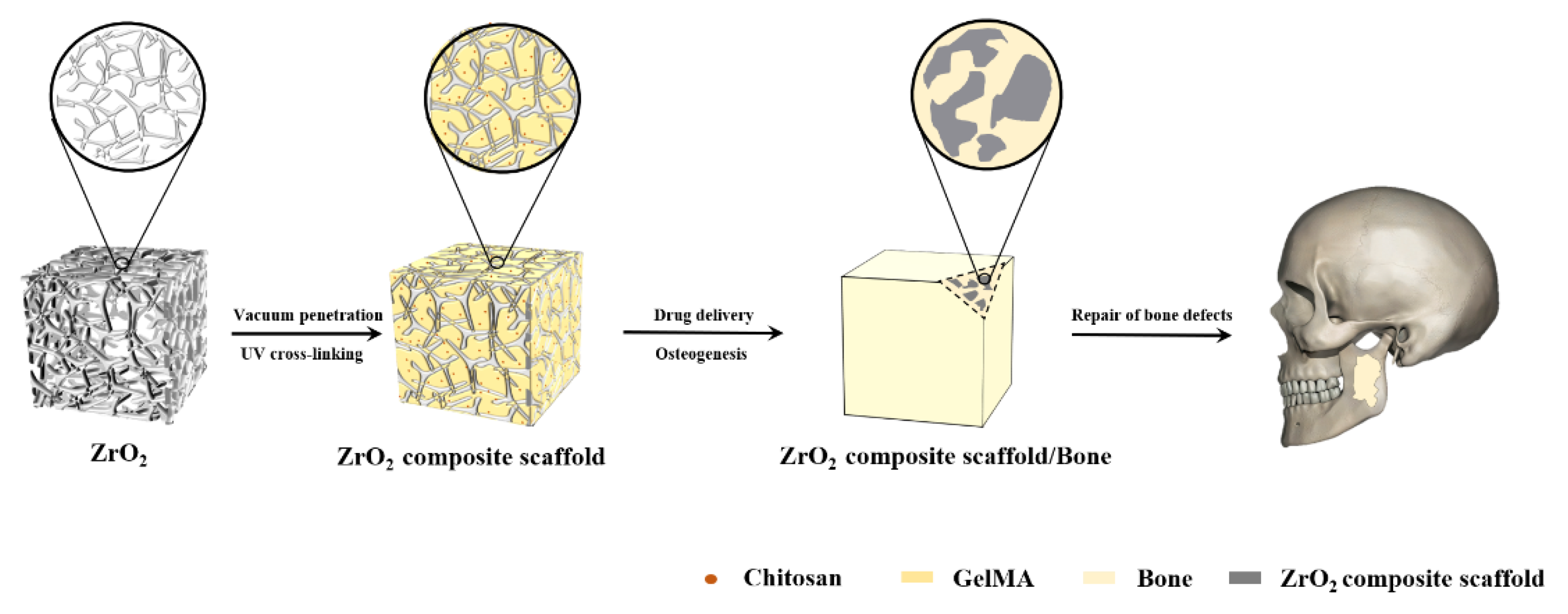Polymers 14 04233 g010 Polymers 14 04233 g010
