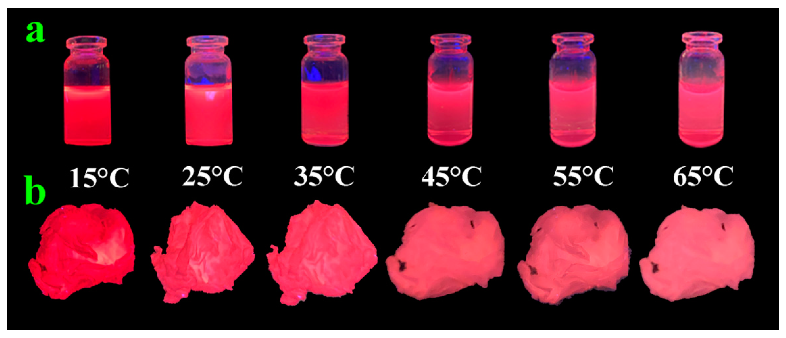 Polymers 14 04238 g005