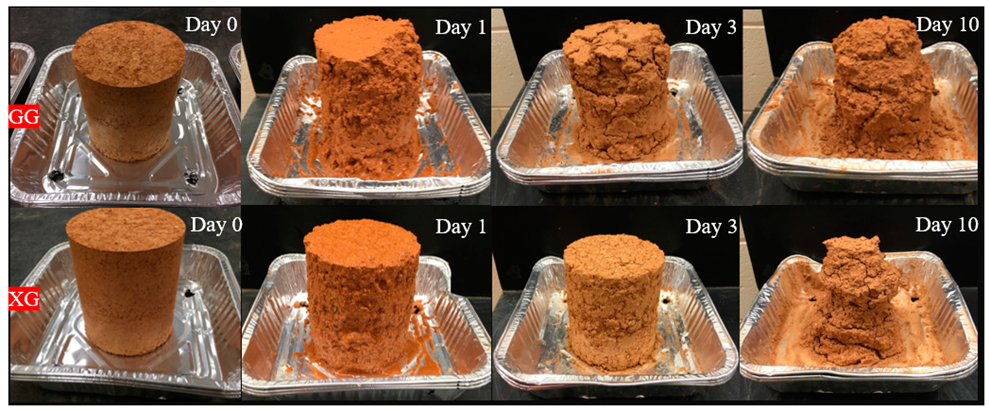 Polymers 14 04247 g003 Polymers 14 04247 g003