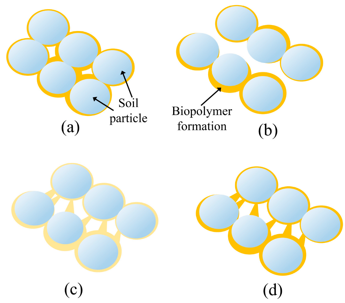 Polymers 14 04247 g008 Polymers 14 04247 g008