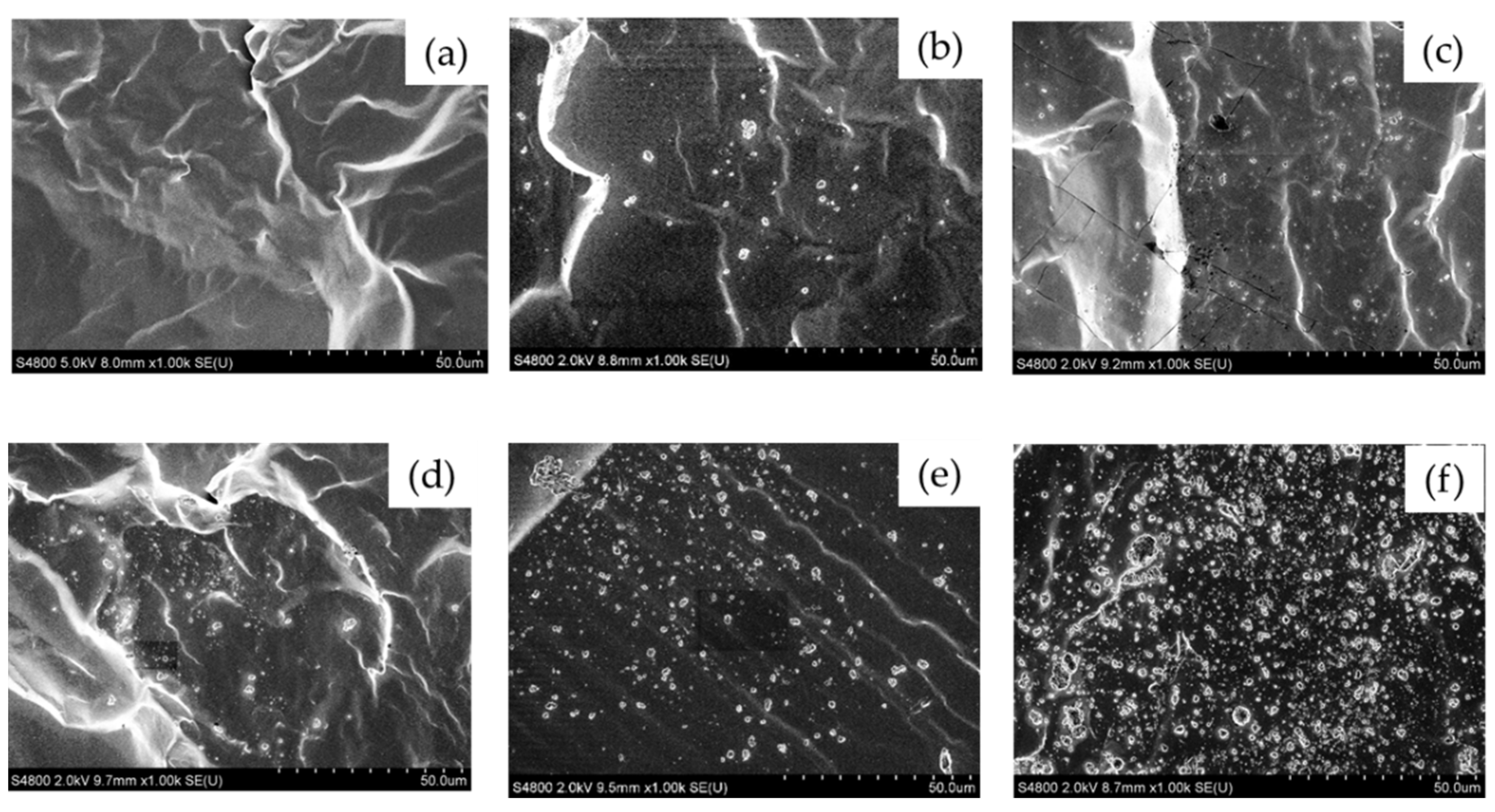 Polymers 14 04252 g001