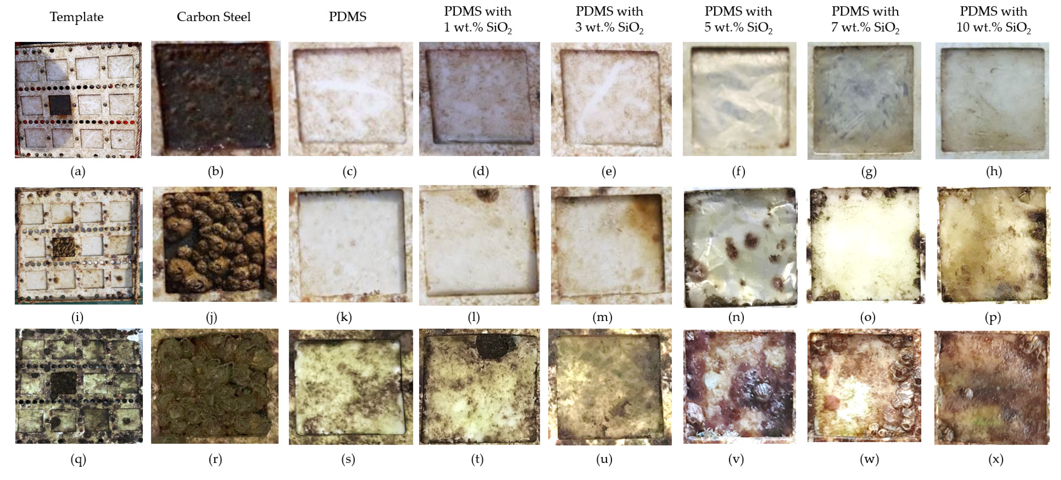 Polymers 14 04252 g004