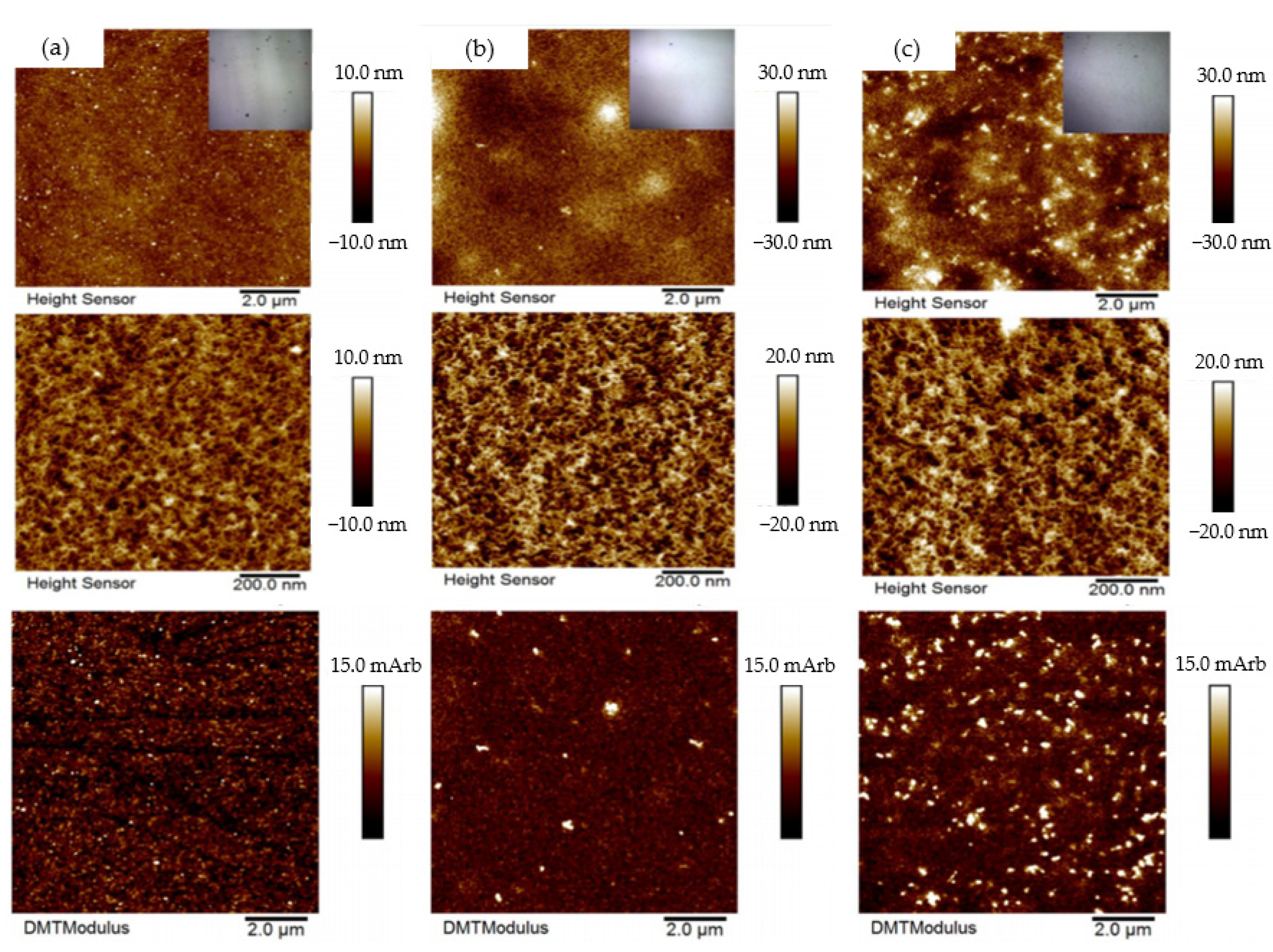 Polymers 14 04252 g008
