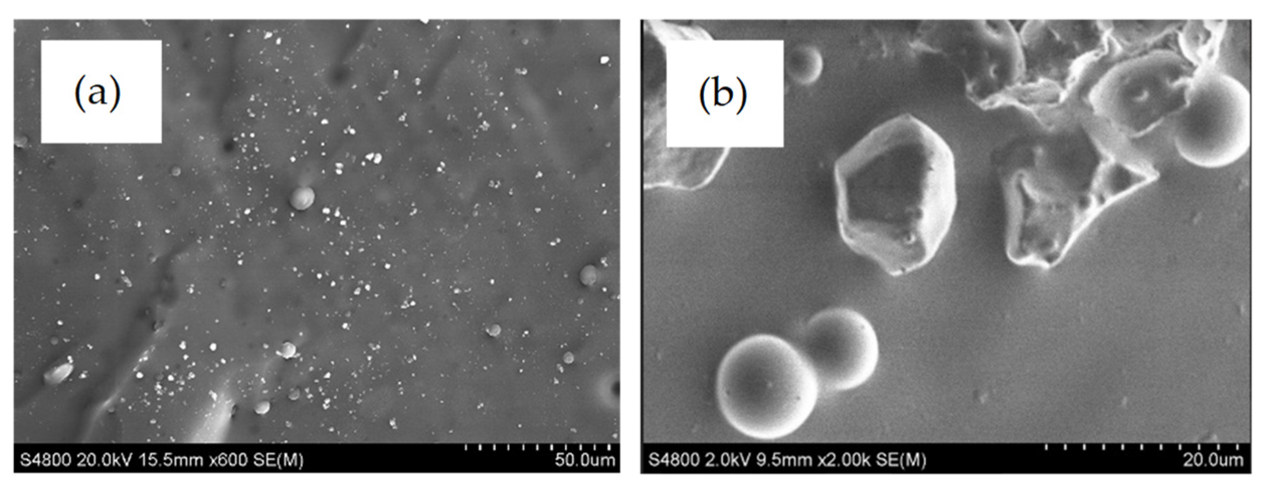 Polymers 14 04252 g009