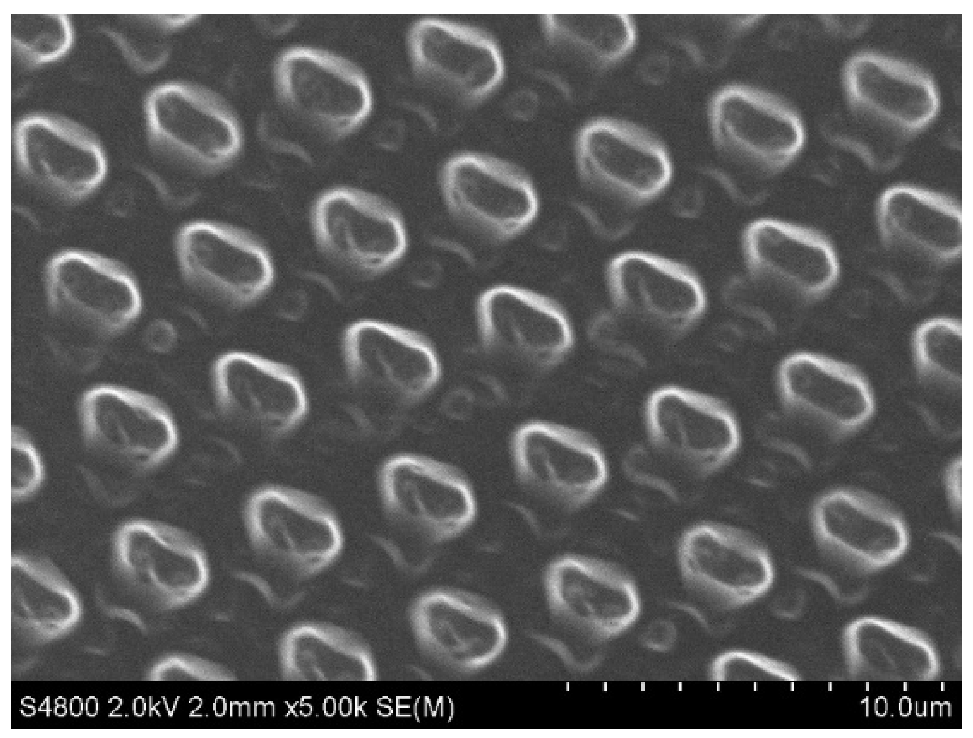 Polymers 14 04252 g013