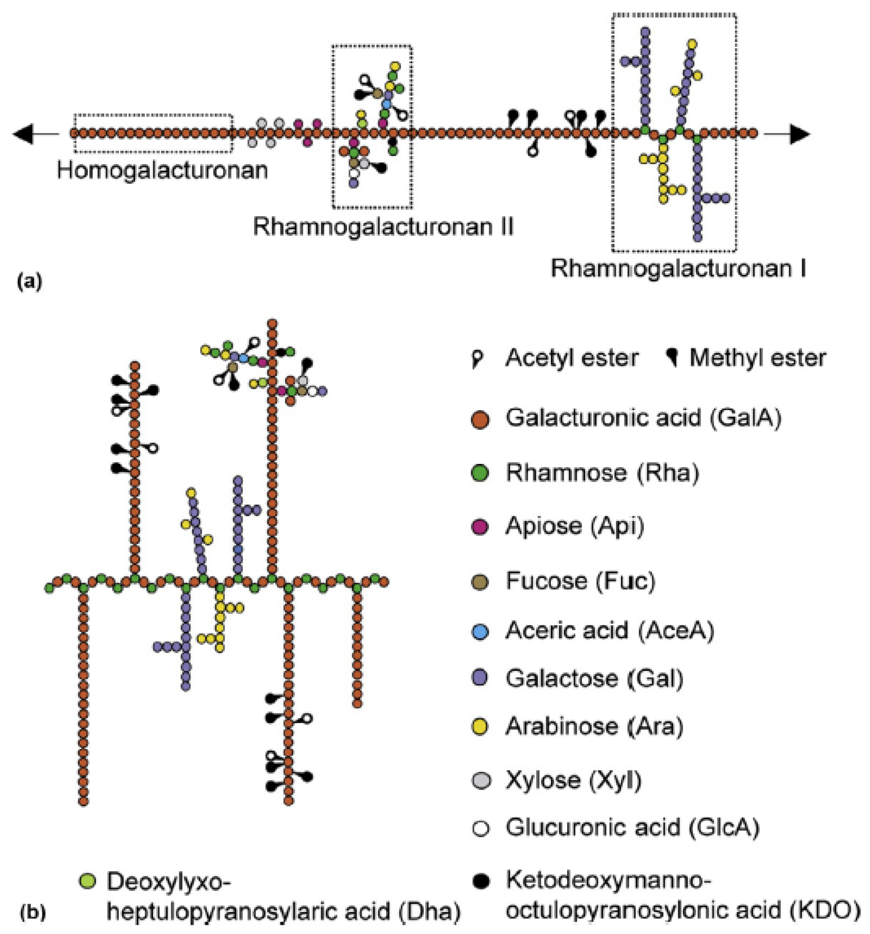 Polymers 14 04257 g003 Polymers 14 04257 g003