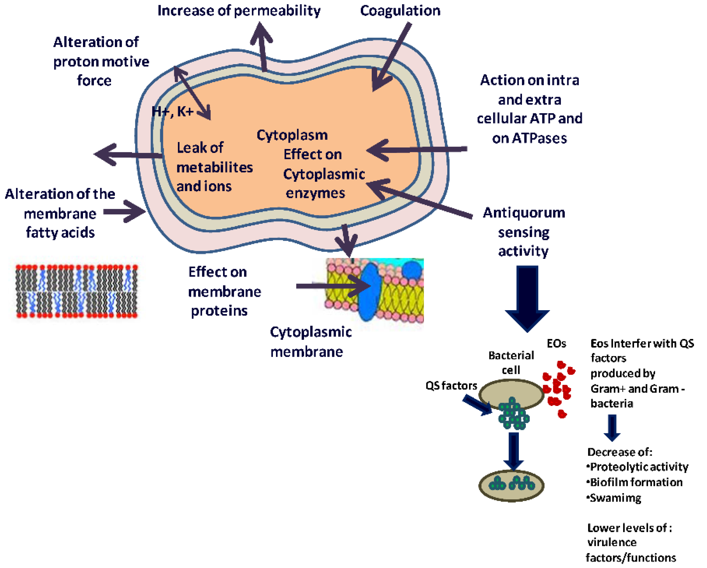 Polymers 14 04257 g006 Polymers 14 04257 g006