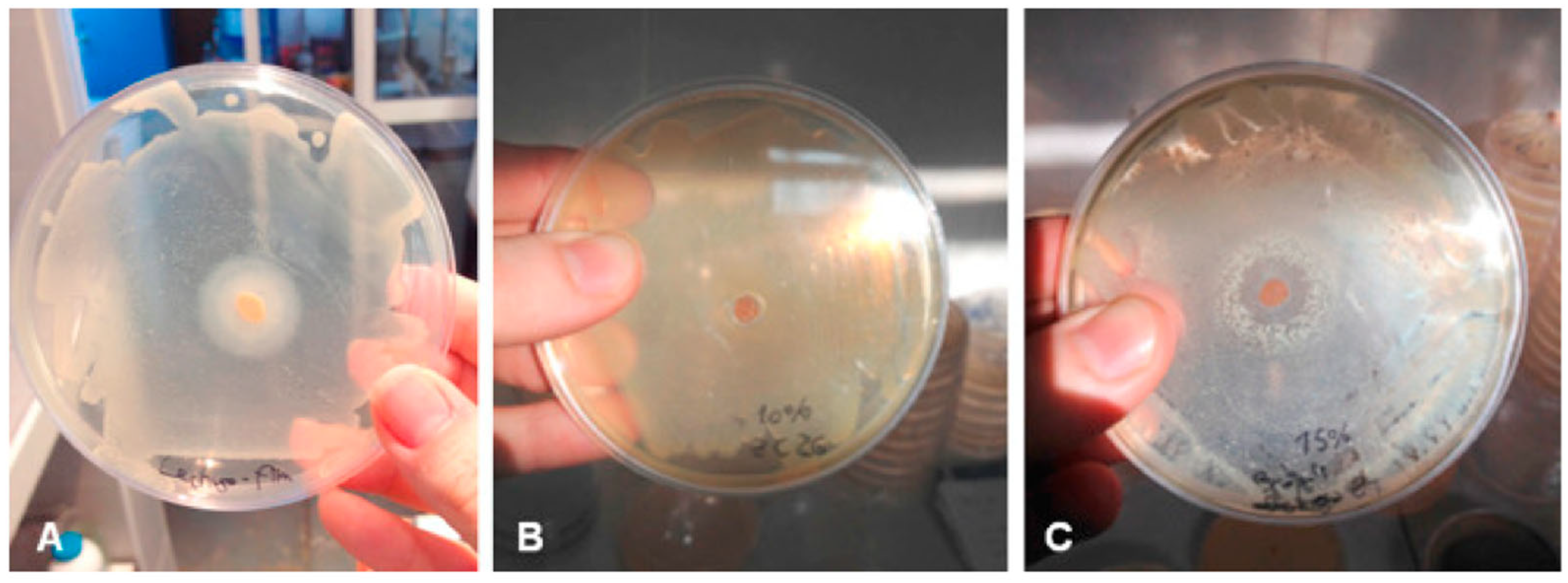 Polymers 14 04257 g007 Polymers 14 04257 g007