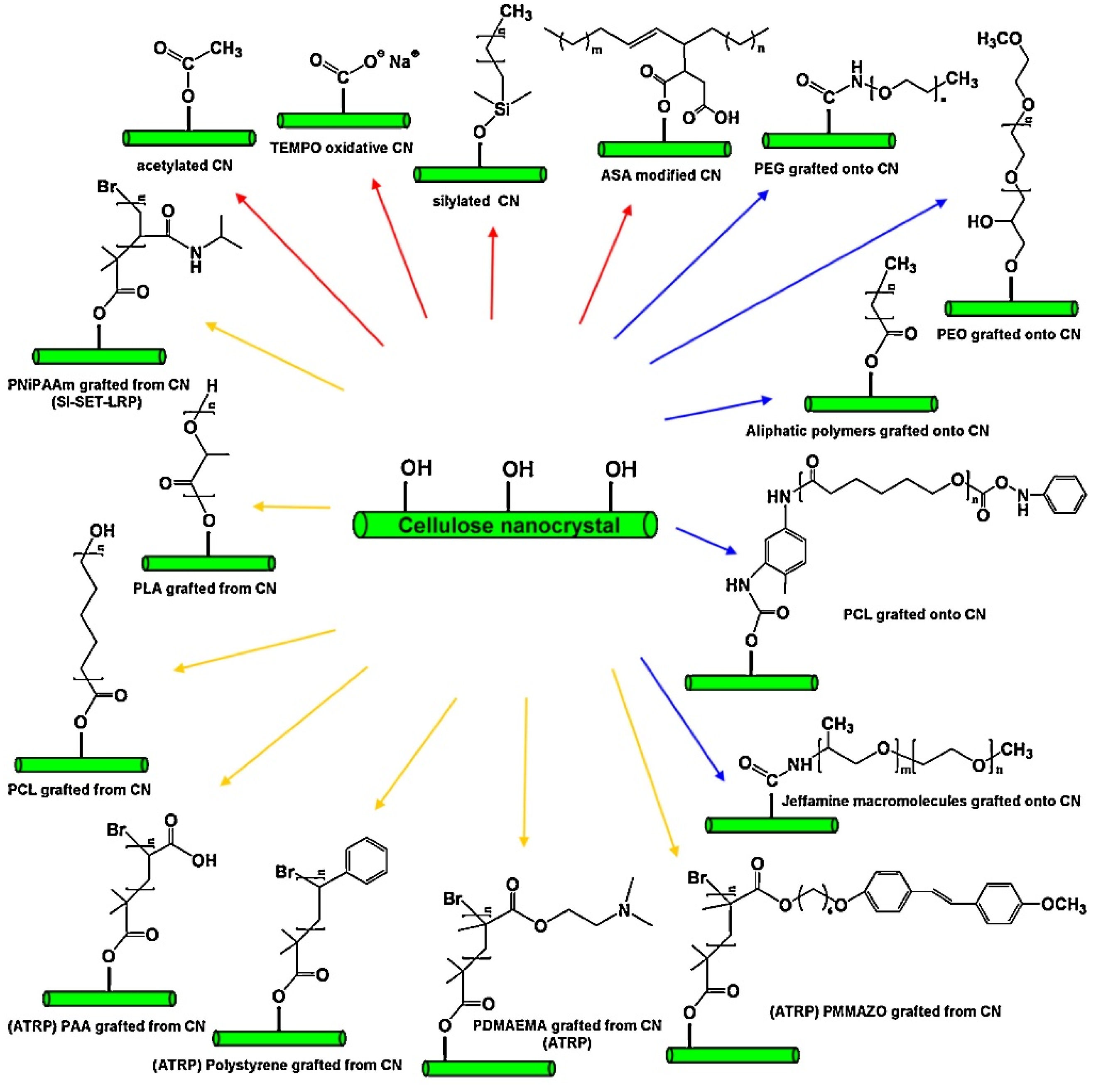 Polymers 14 04257 g009 Polymers 14 04257 g009