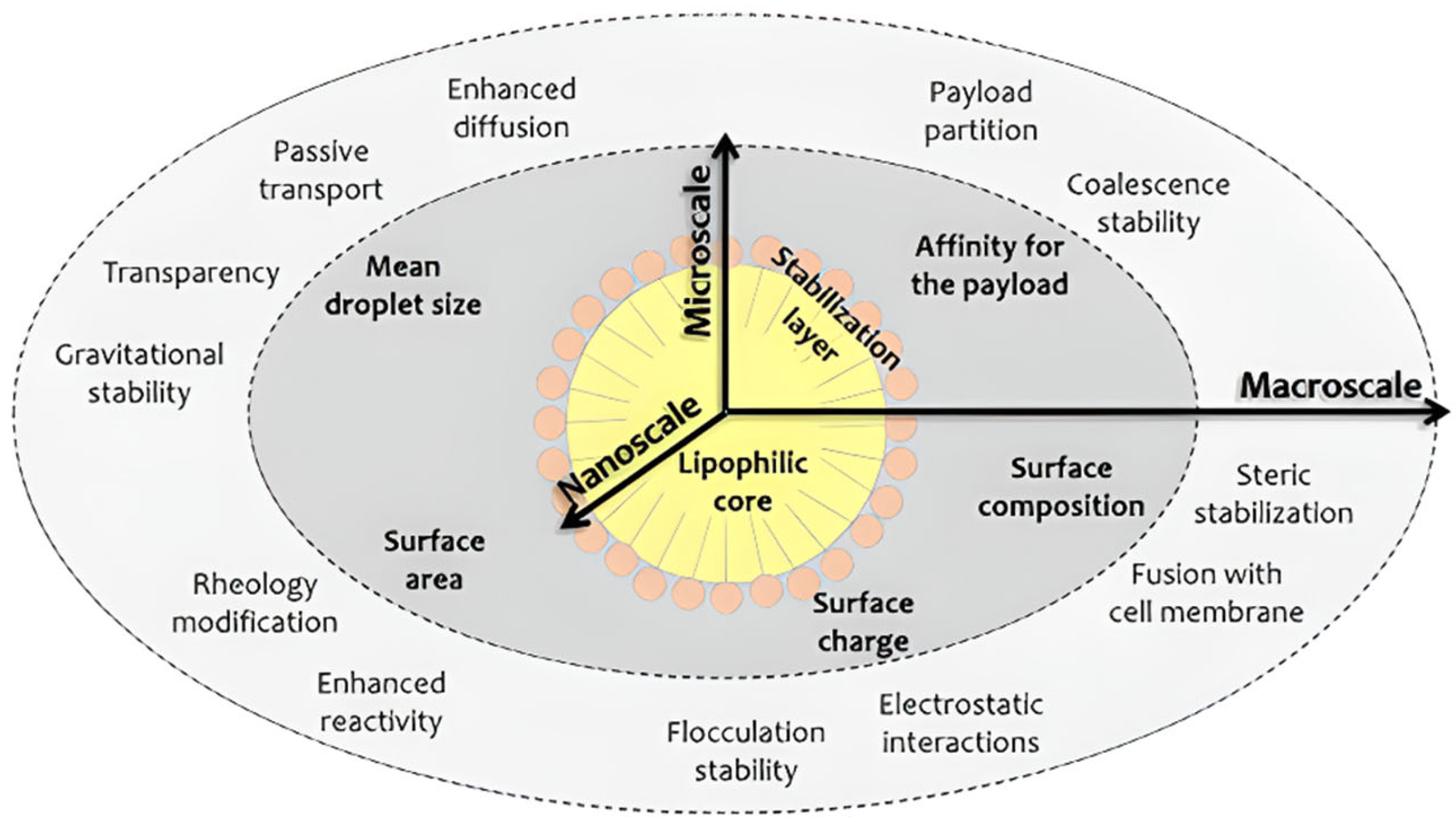 Polymers 14 04257 g010 Polymers 14 04257 g010