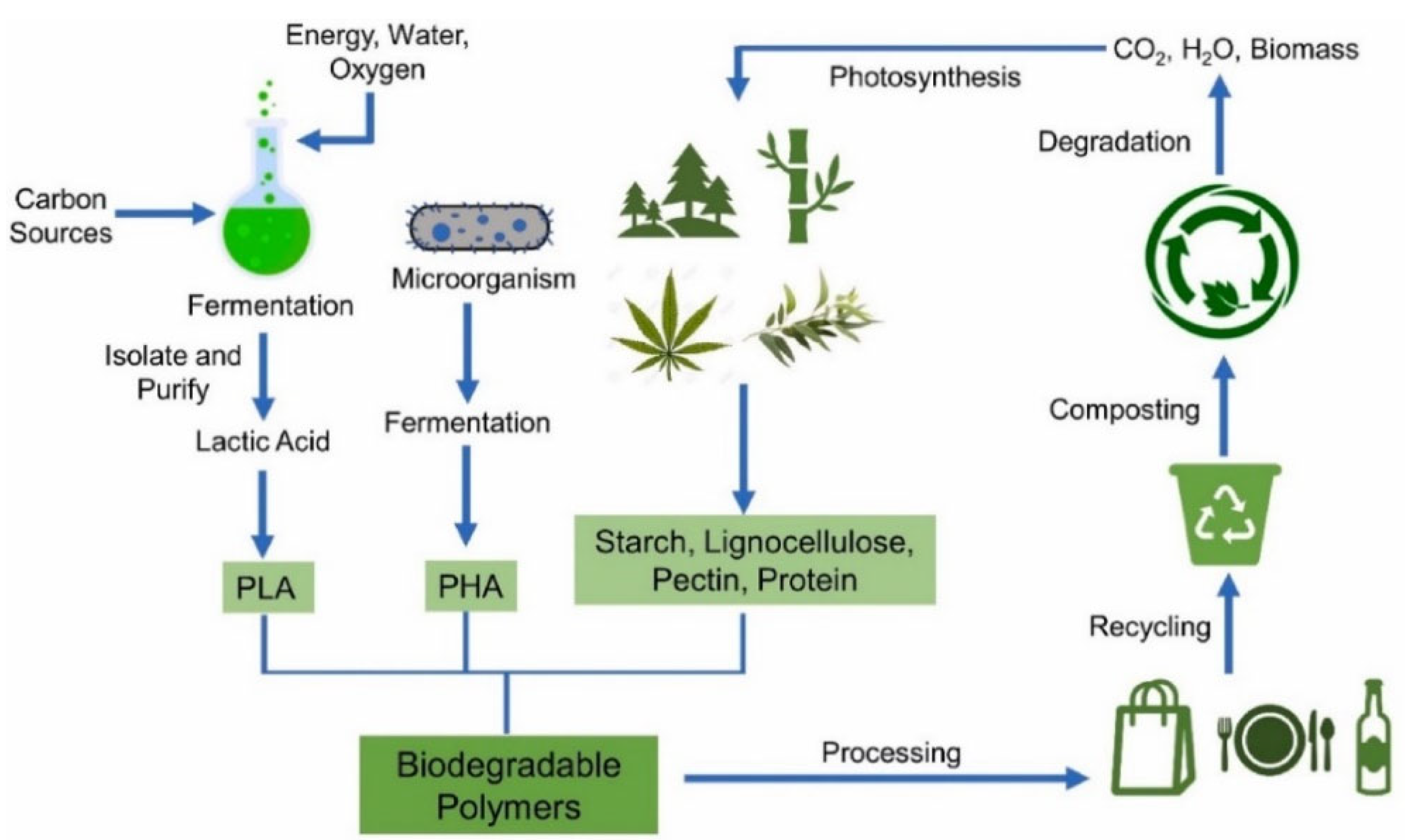 Polymers 14 04257 g011 Polymers 14 04257 g011