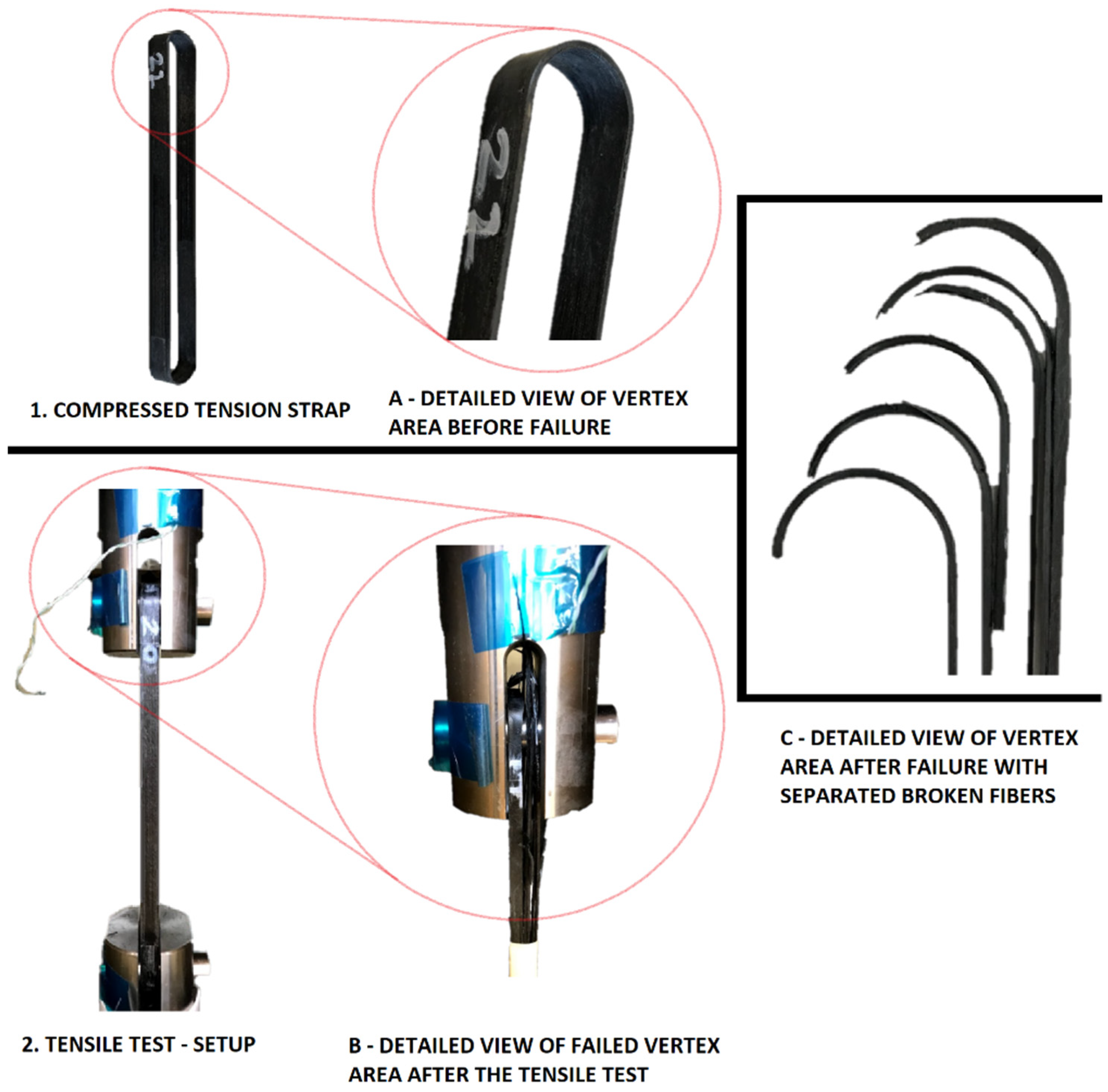 Polymers 14 04258 g008